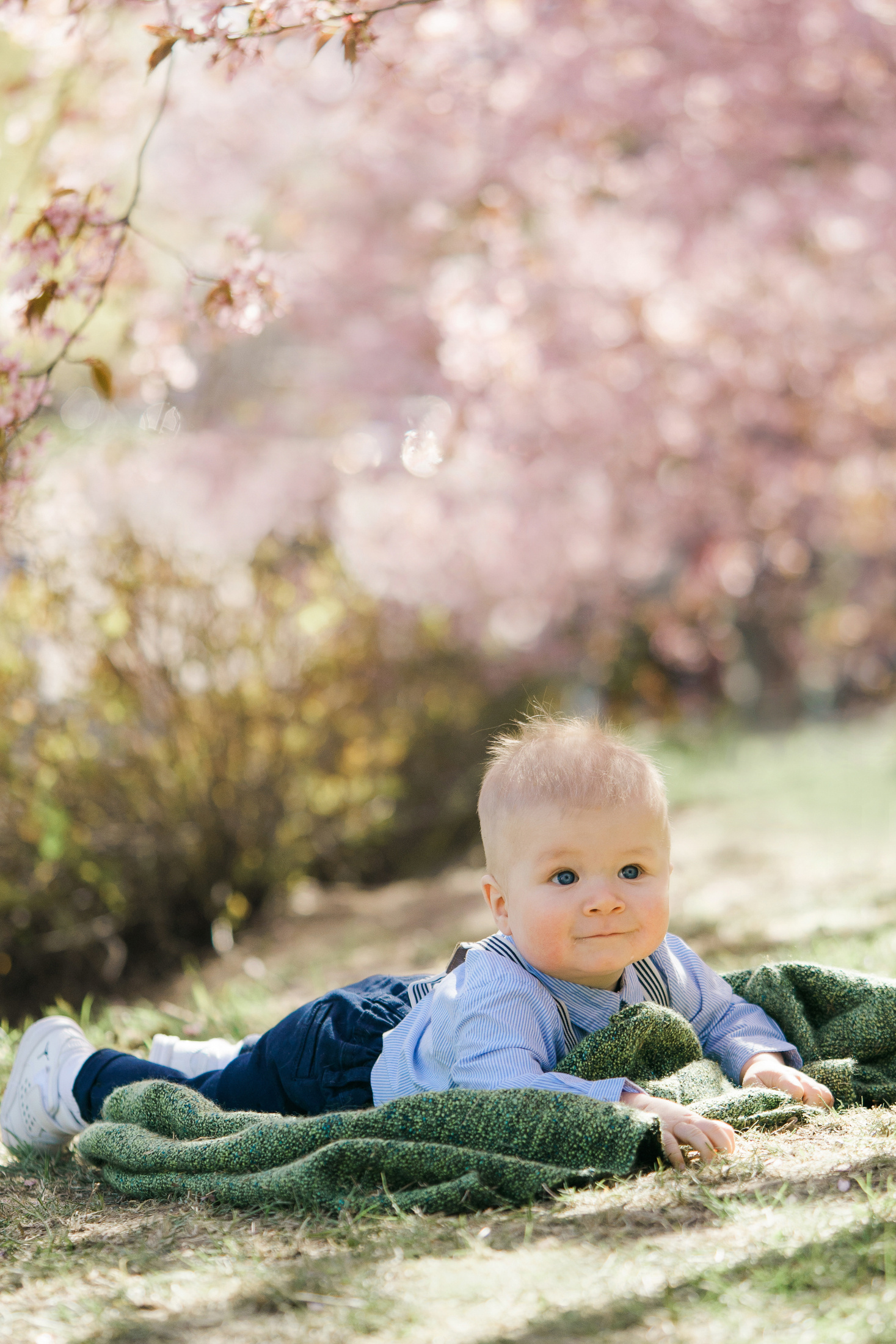 Perhekuvaus, kirsikkapuisto, Helsinki