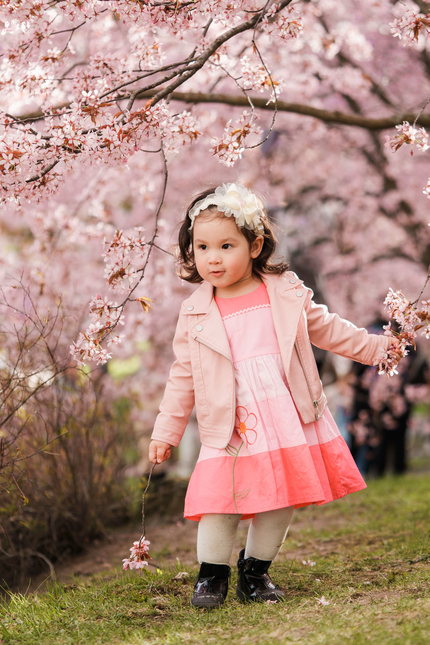 Lapsikuvaus Kirsikkapuistossa