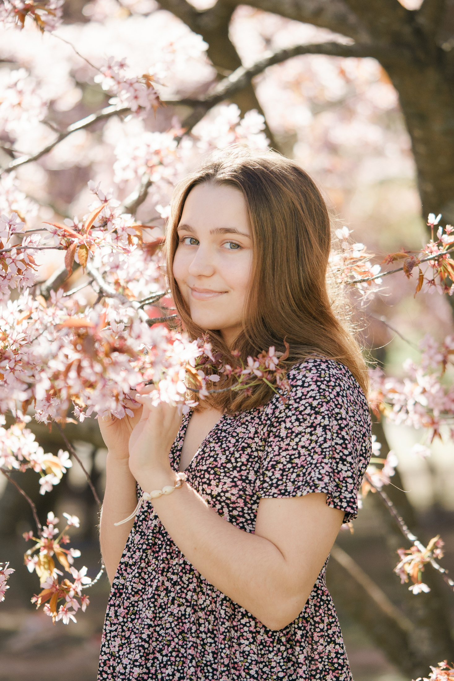 Perhekuvaus Roihuvuoren kirsikkapuistossa