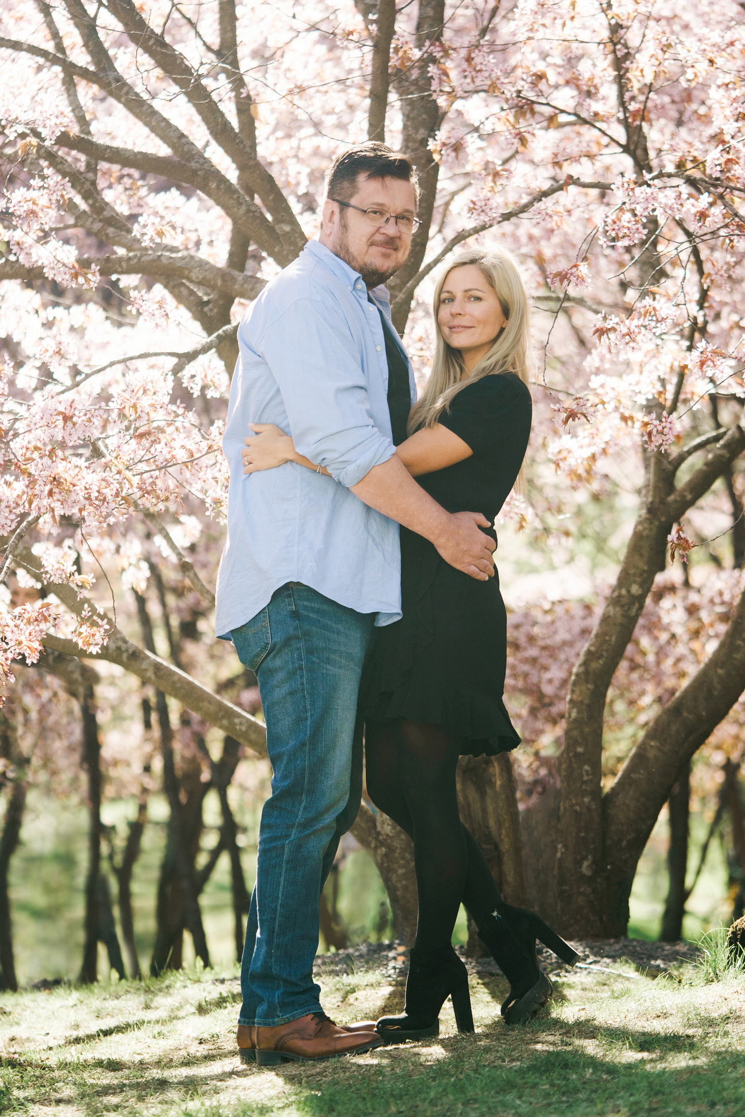 Perhekuvaus Roihuvuoren kirsikkapuistossa