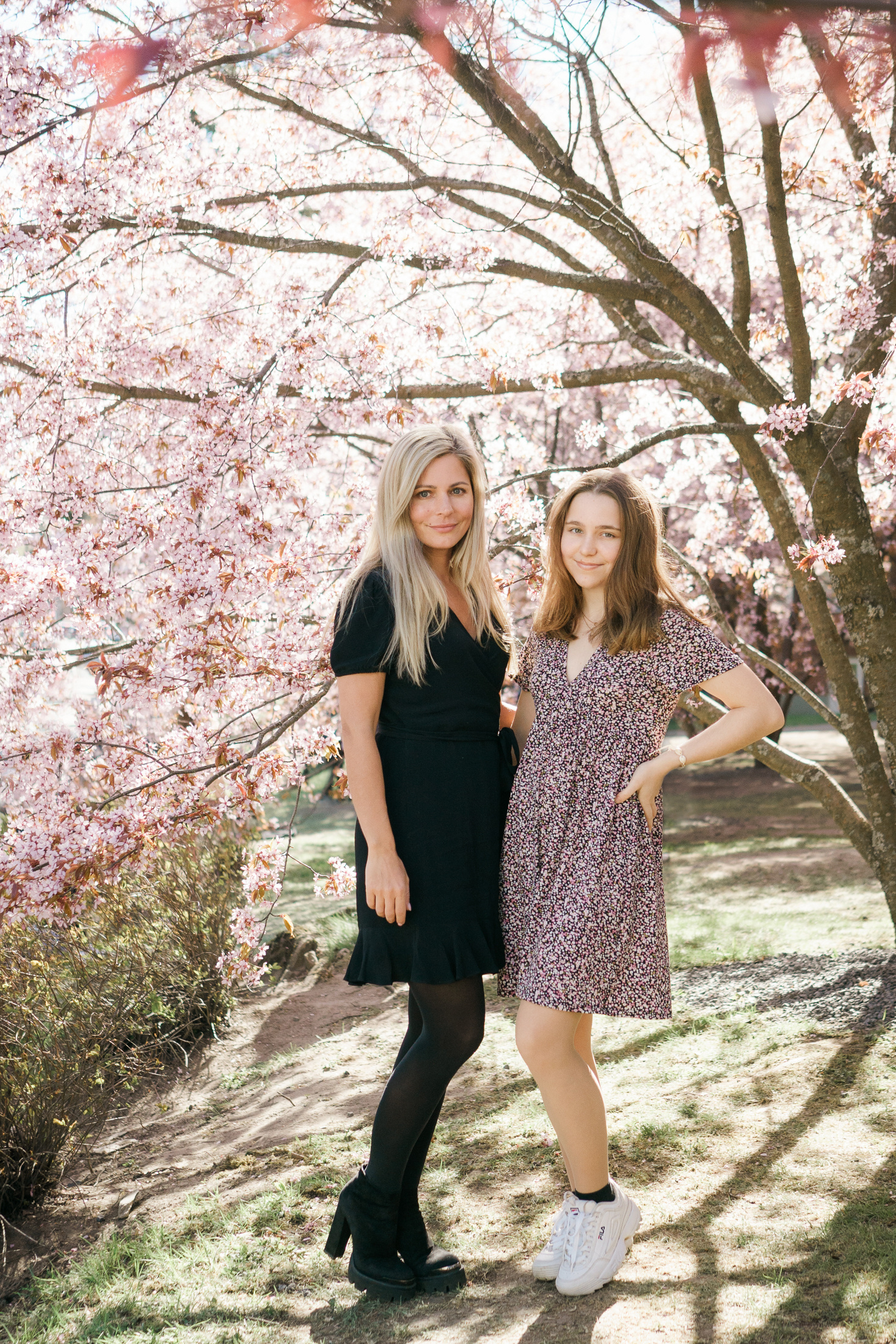 Perhekuvaus Roihuvuoren kirsikkapuistossa