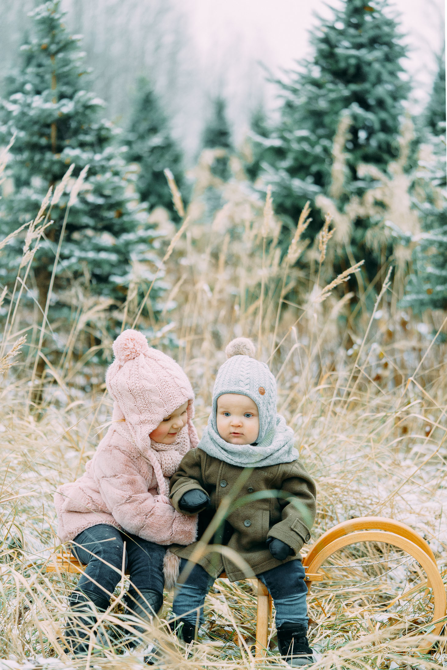 Joulukorttikuvaus miljöössä Espoossa
