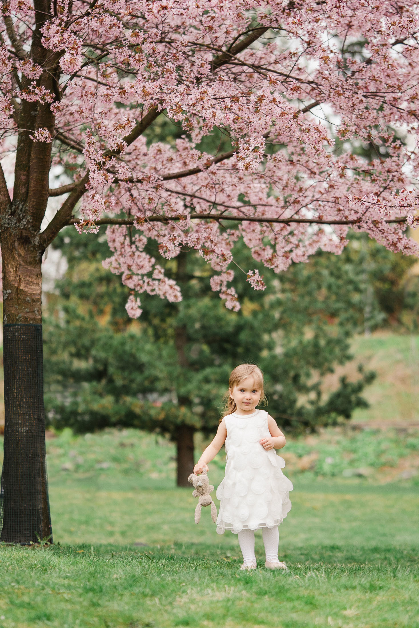 Perhekuvaus Helsingin kirsikkapuistossa