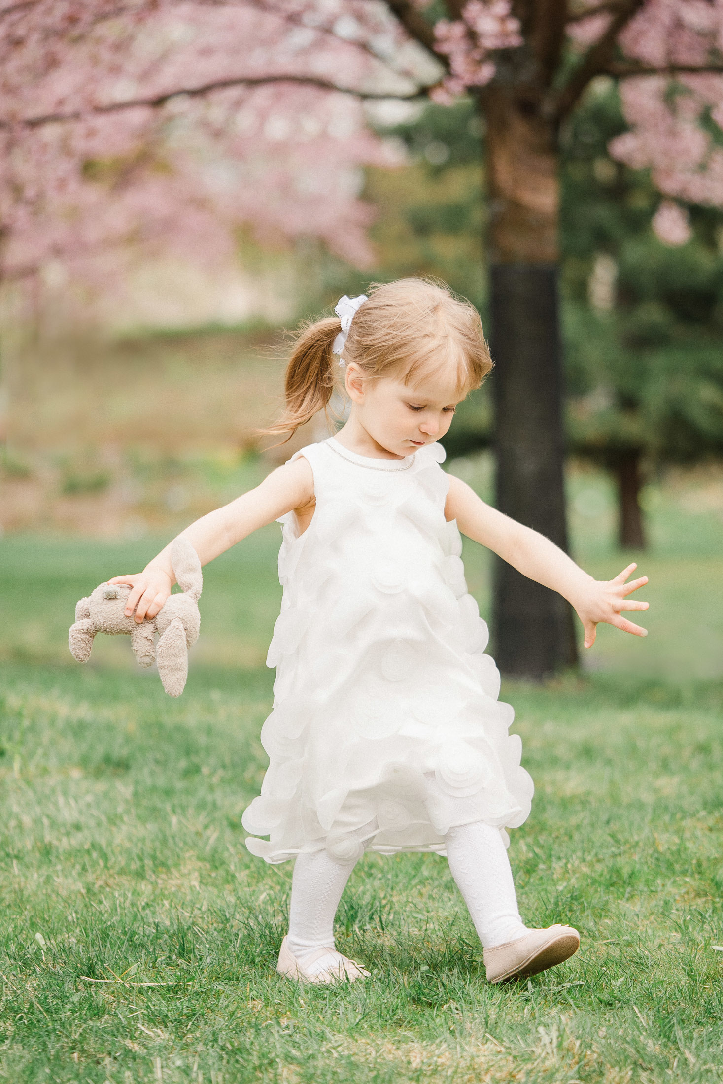 Perhekuvaus Helsingin kirsikkapuistossa