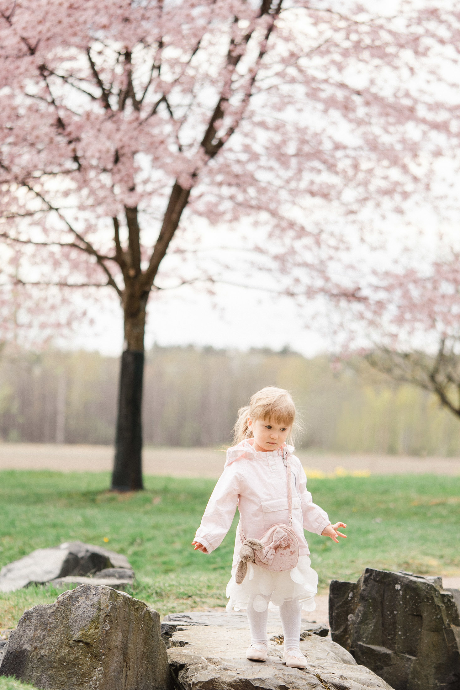 Perhekuvaus Helsingin kirsikkapuistossa