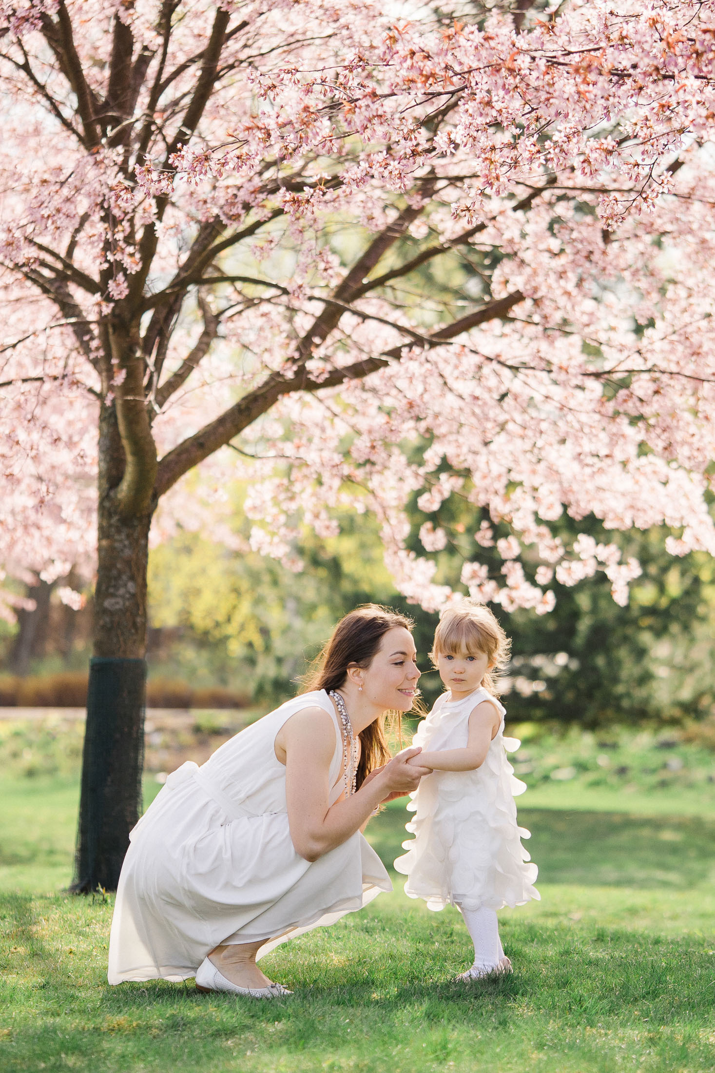 Perhekuvaus Helsingin kirsikkapuistossa