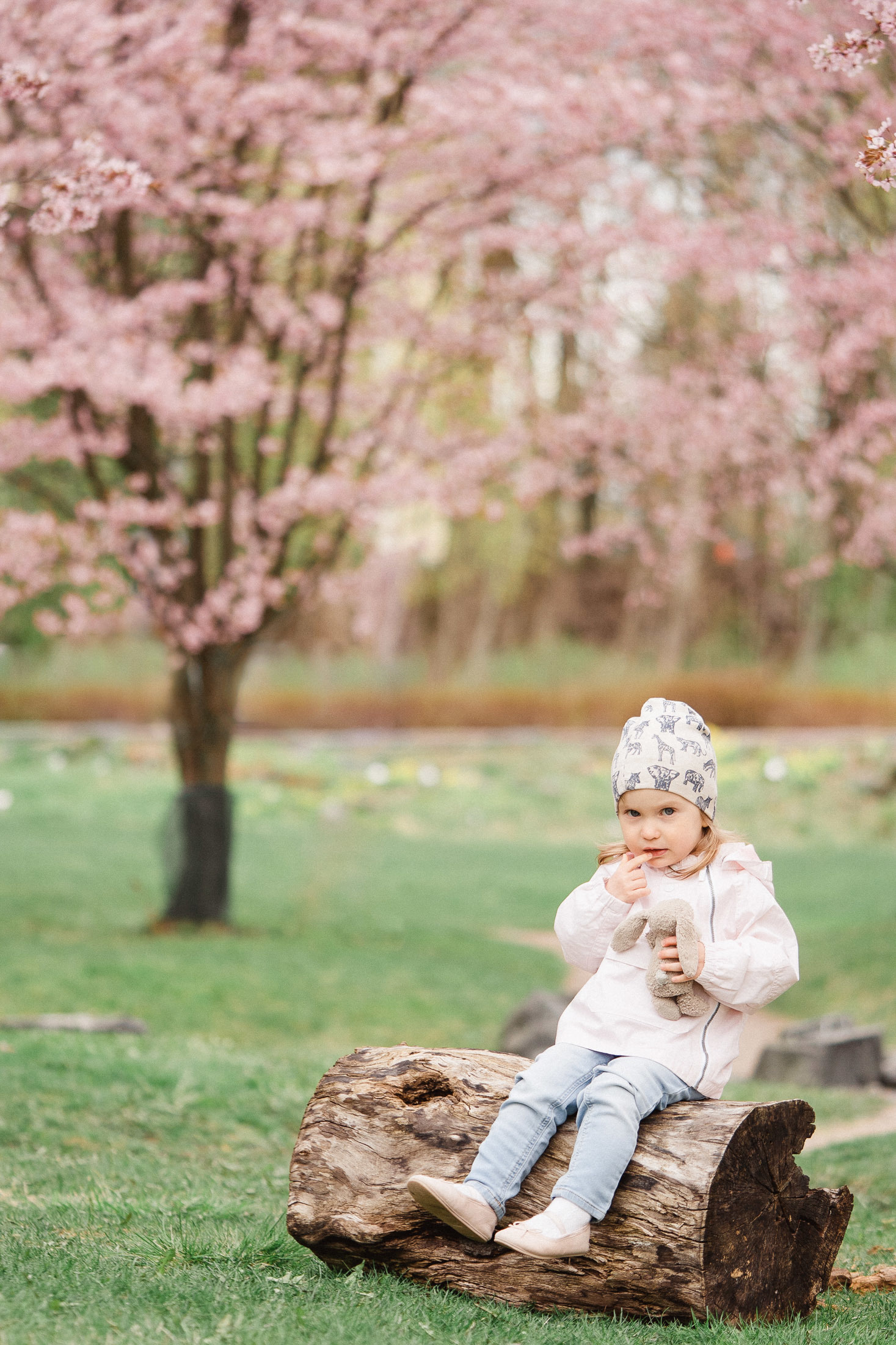 Perhekuvaus Helsingin kirsikkapuistossa