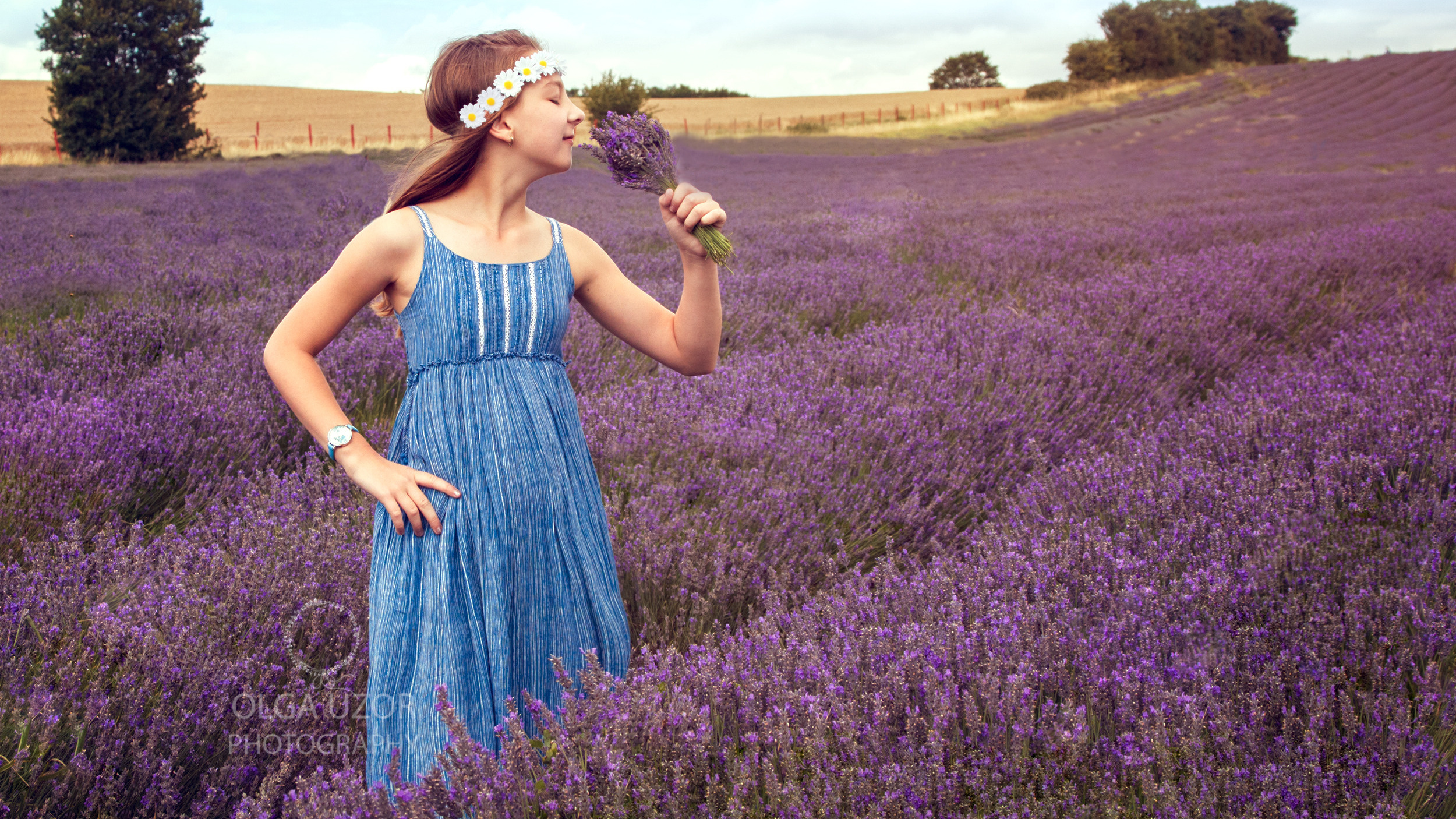 Hitchin Lavender photoshoot. Stevenage, Hertfordshire family and newborn photographer