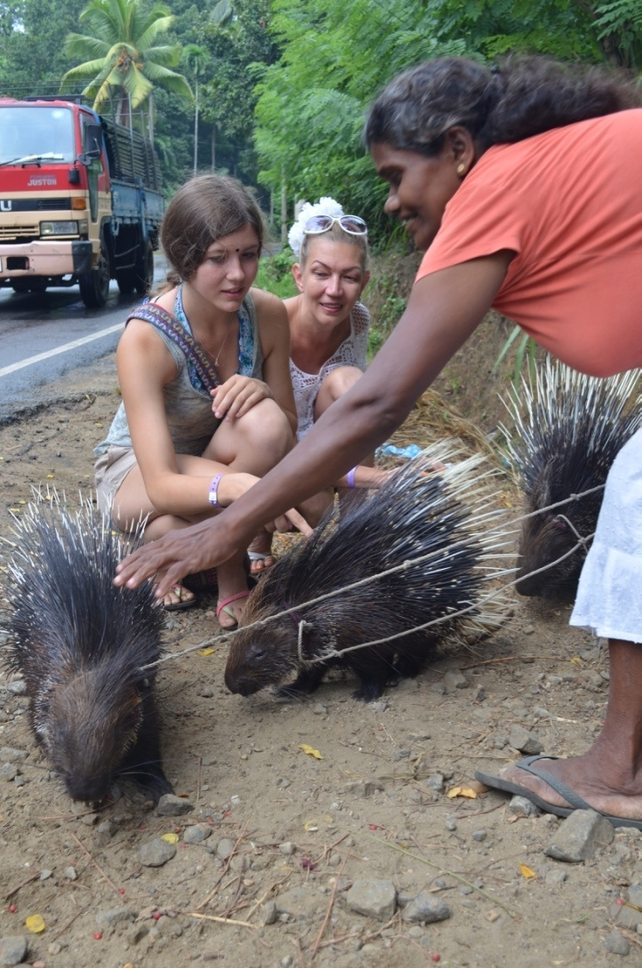 Шри-Ланка — Мальдивы. Mannequins, design, decoration, handmade, photographe…