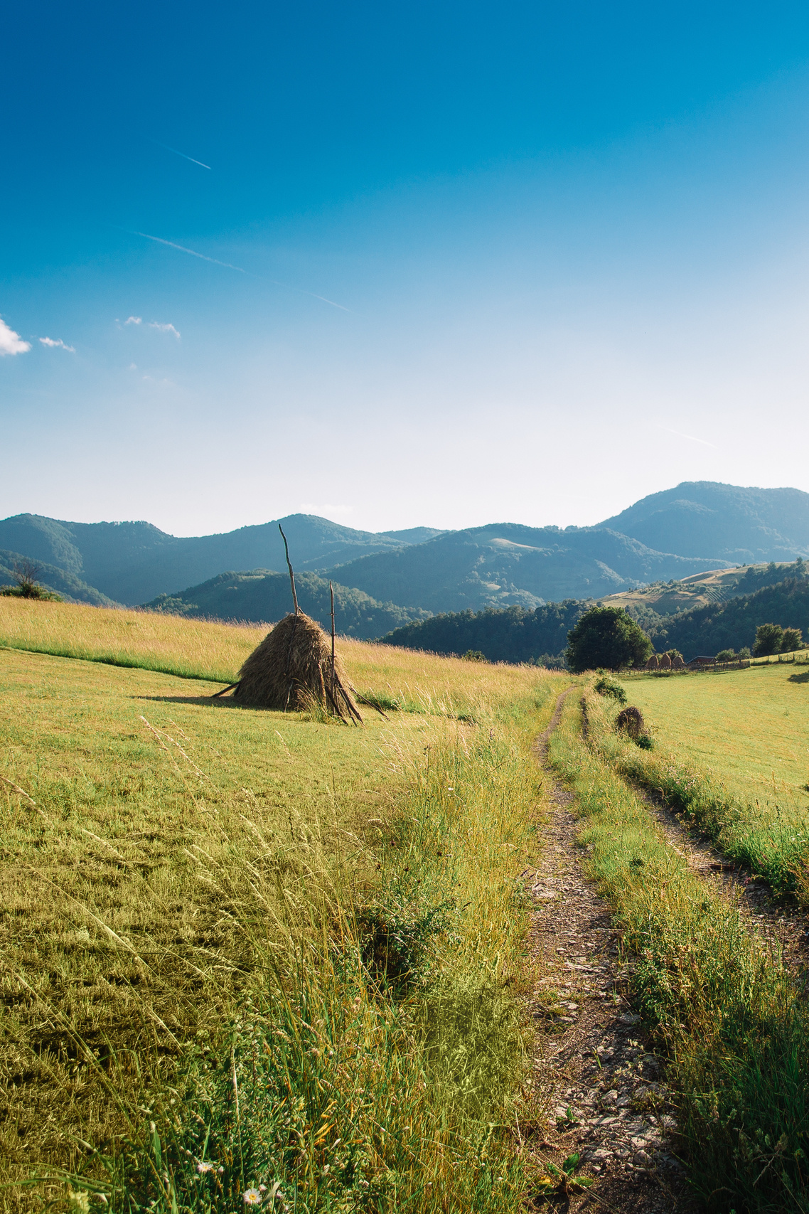 Potraga za svojim korenima. Mark Smilyanic | Portretni boudoir fotograf iz Beograda