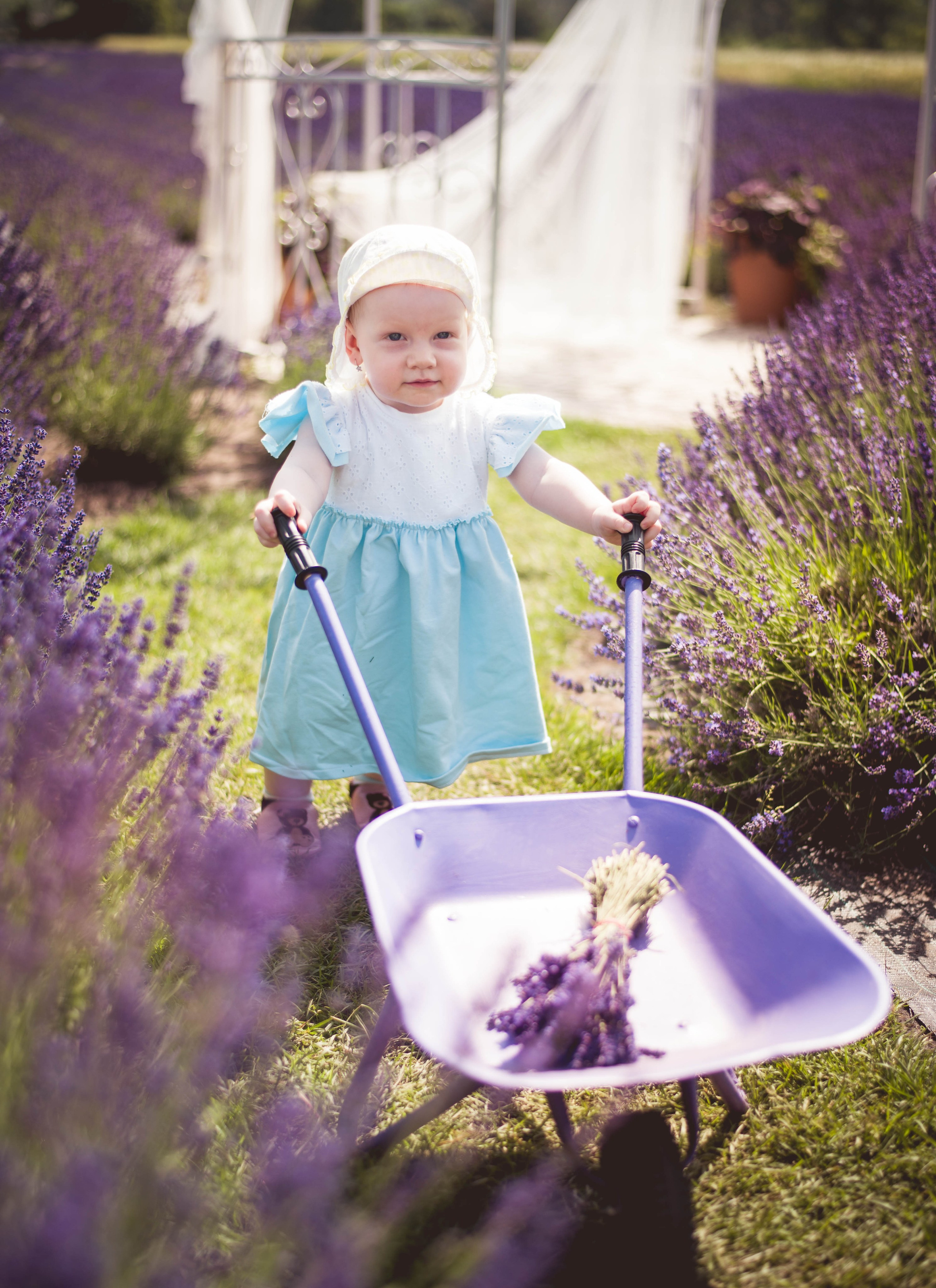 💜 Fotenie v levanduliach 🟢 Rezervácia termínov. Rodinná a svadobná fotografka v Bratislave | Prezrite si portfólio