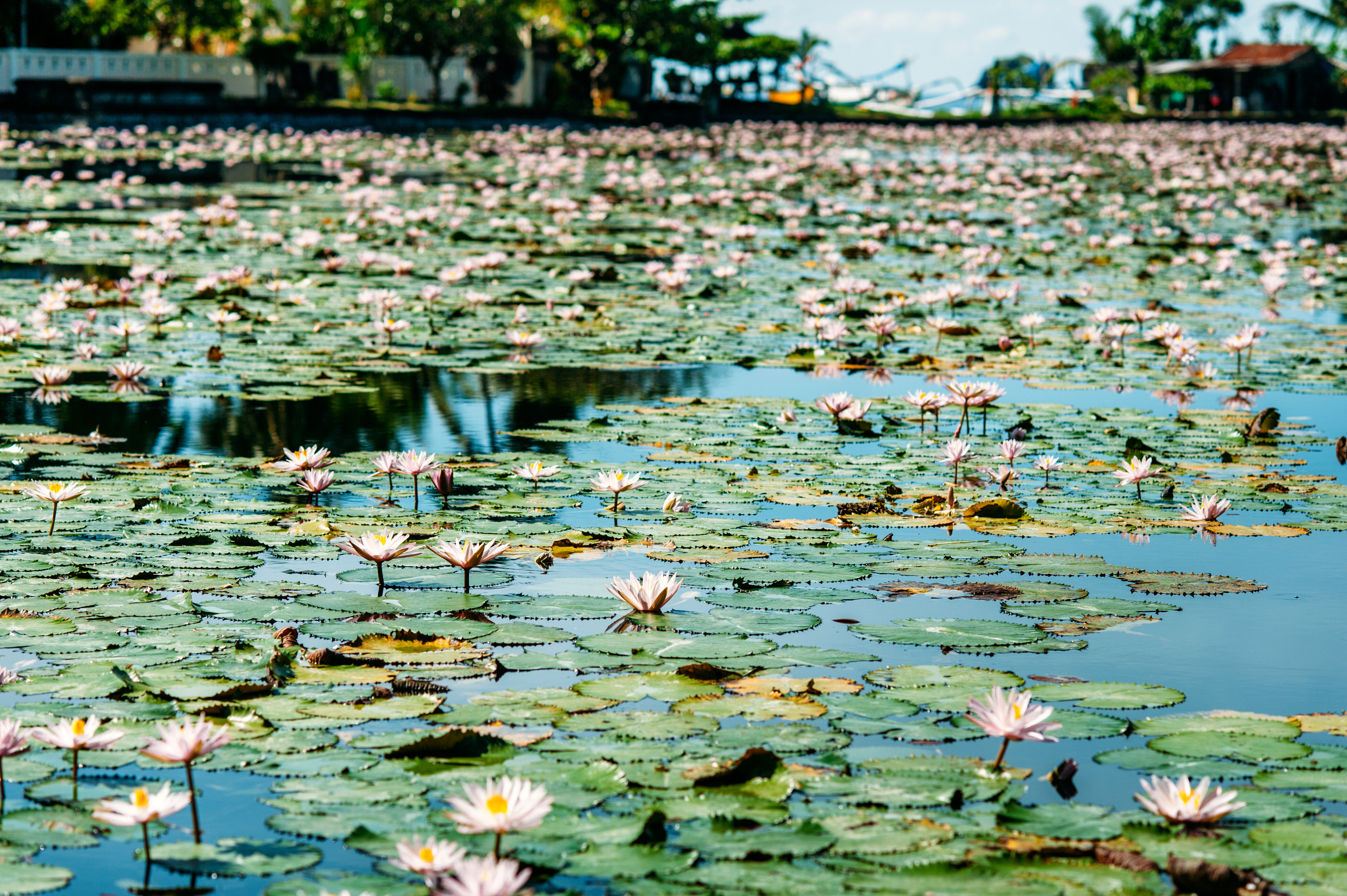 Wedding family photographer Alicante Benidorm Valencia Costa Blanca