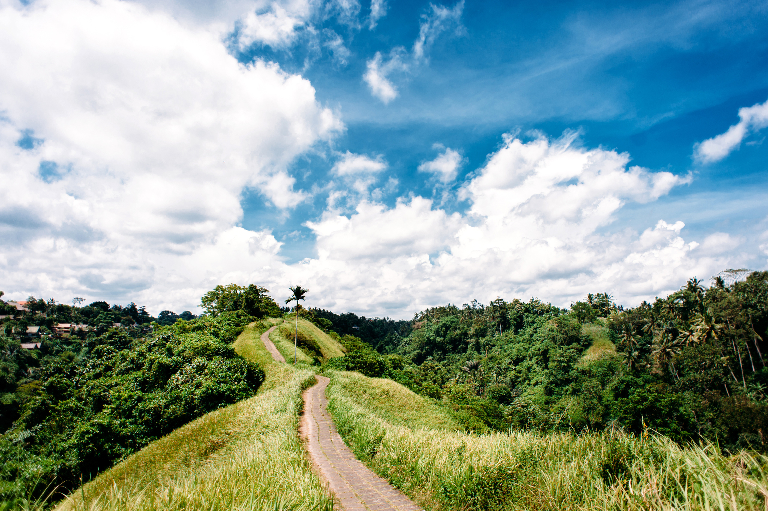Wedding family photographer Alicante Benidorm Valencia Costa Blanca