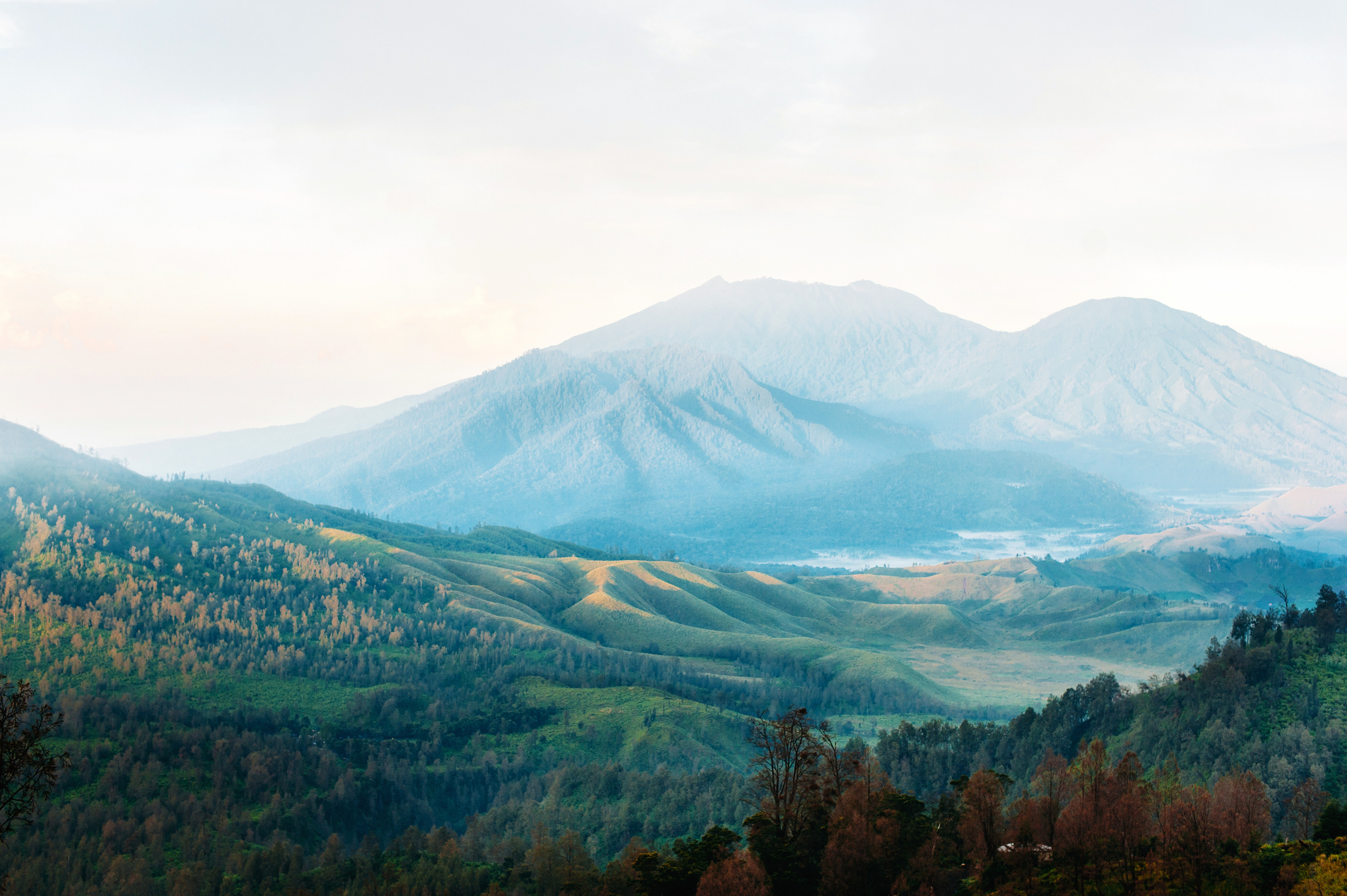 Wedding family photographer Alicante Benidorm Valencia Costa Blanca