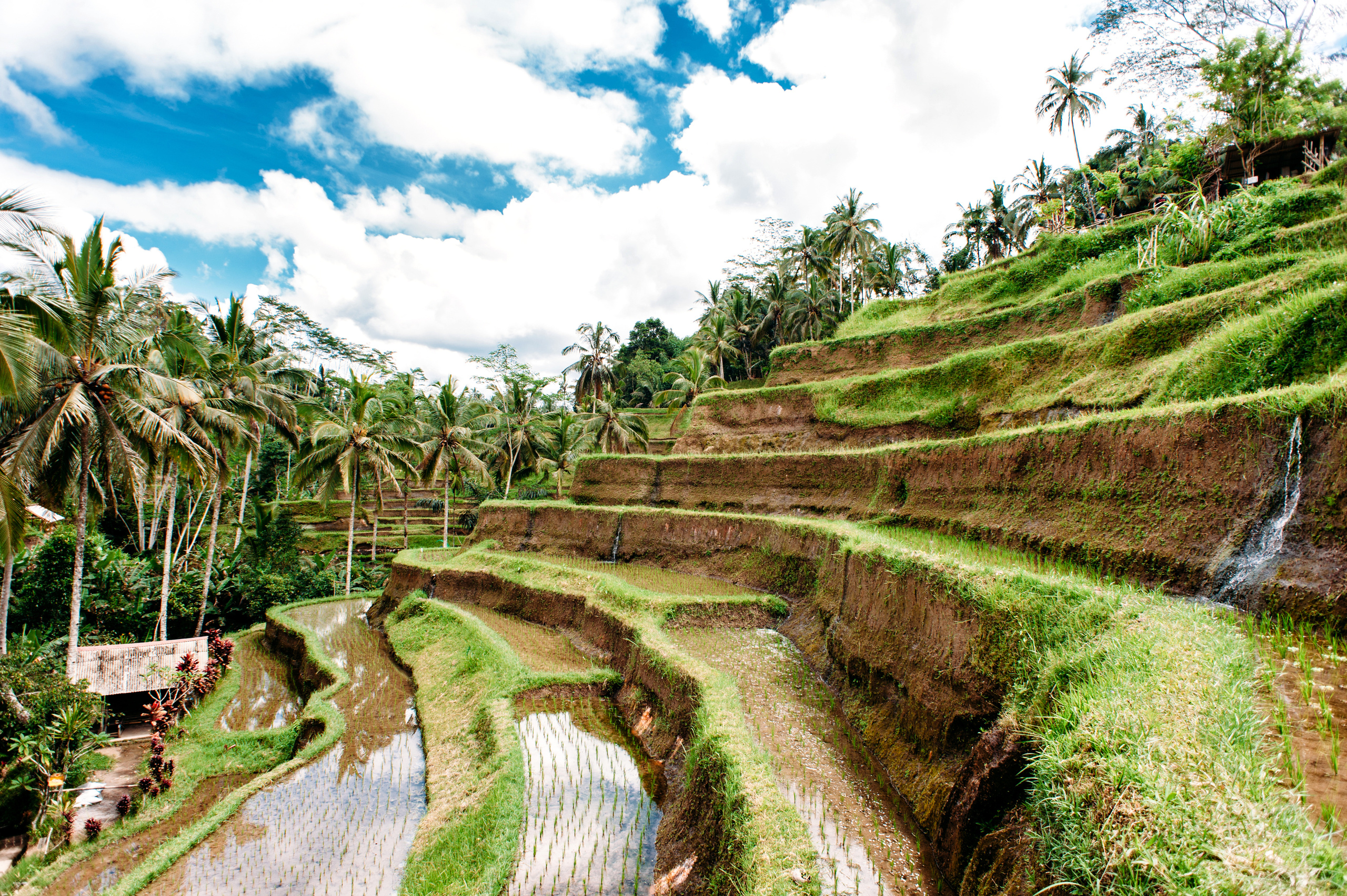 Wedding family photographer Alicante Benidorm Valencia Costa Blanca