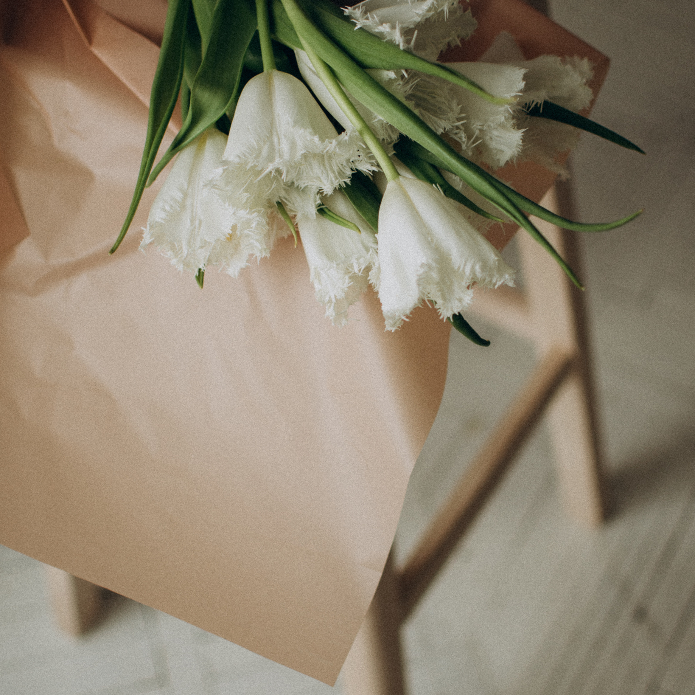 Послуги та ціни. Сімейний, дитячий та індивідуальний фотограф в м. Тернопіль, м. Львів