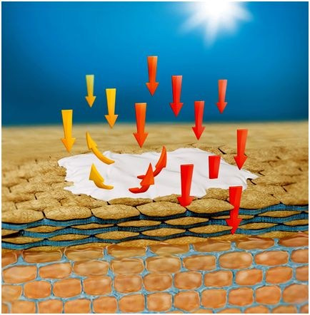 Korneotherapie. Kosmetikstudio Victoria Becker