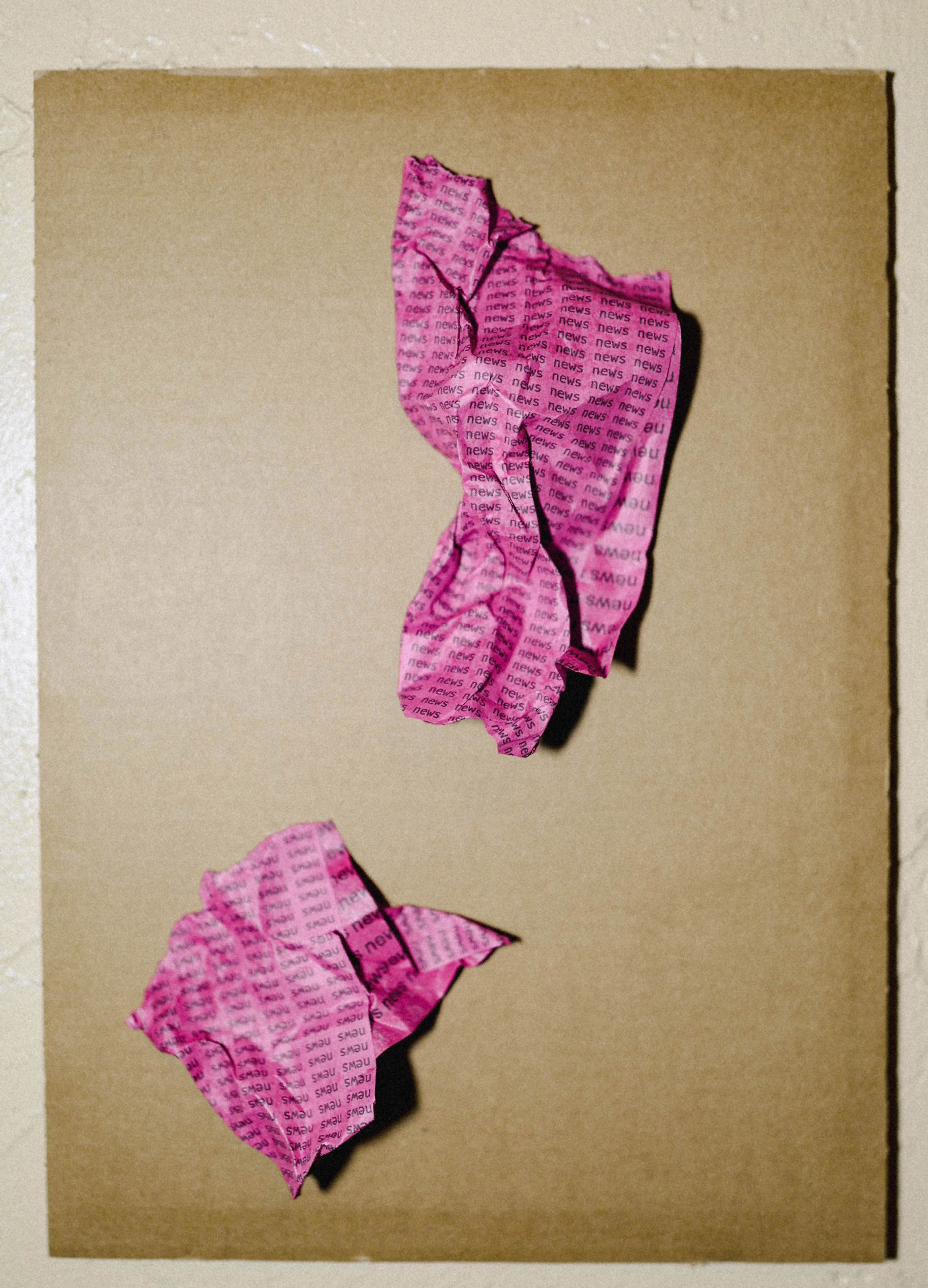 PINK NEWS COLLECTION. Visual Artist Raisa Boiko