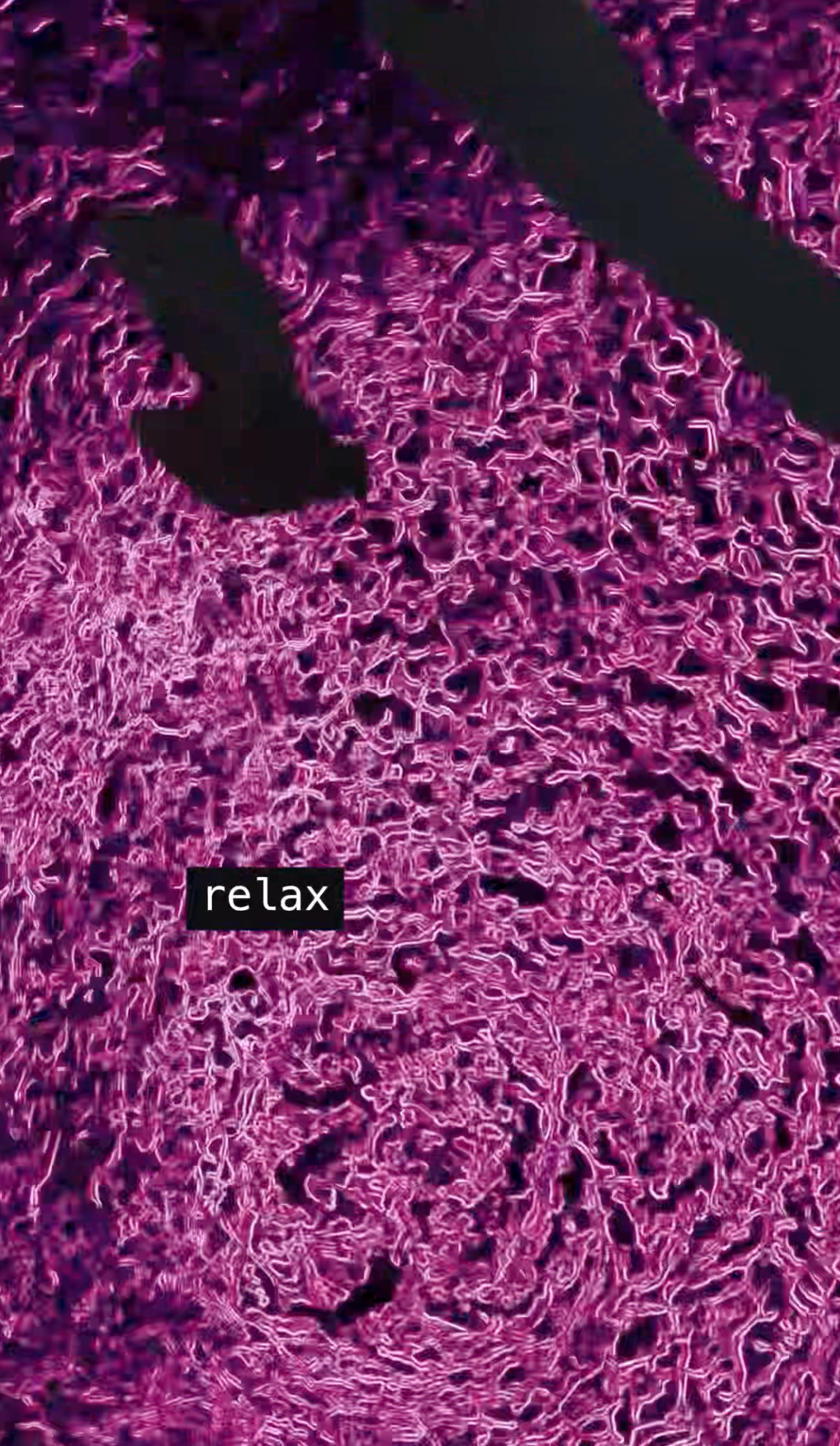 PINK EMOTIONS COLLECTION. Visual Artist Raisa Boiko