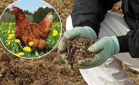 ORGANIC WASTE MANAGEMENT. Boost Plant Growth with Organic Fertilizers: Our Effective Solution