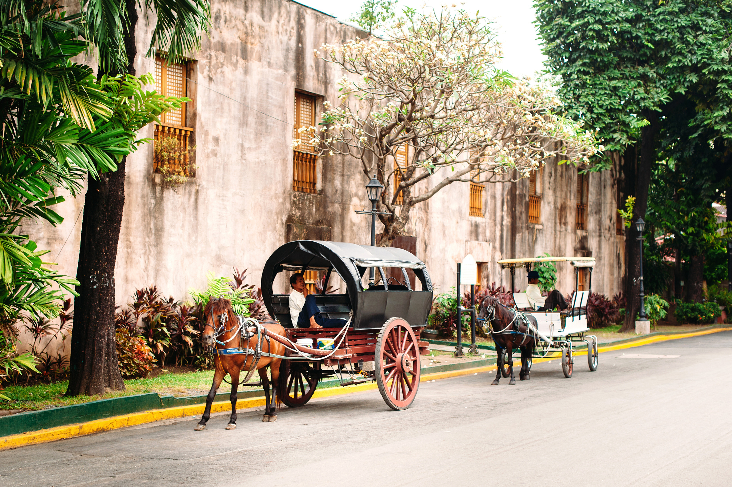 Fotografo de boda, familia Alicante Benidorm Valencia Costa Blanca