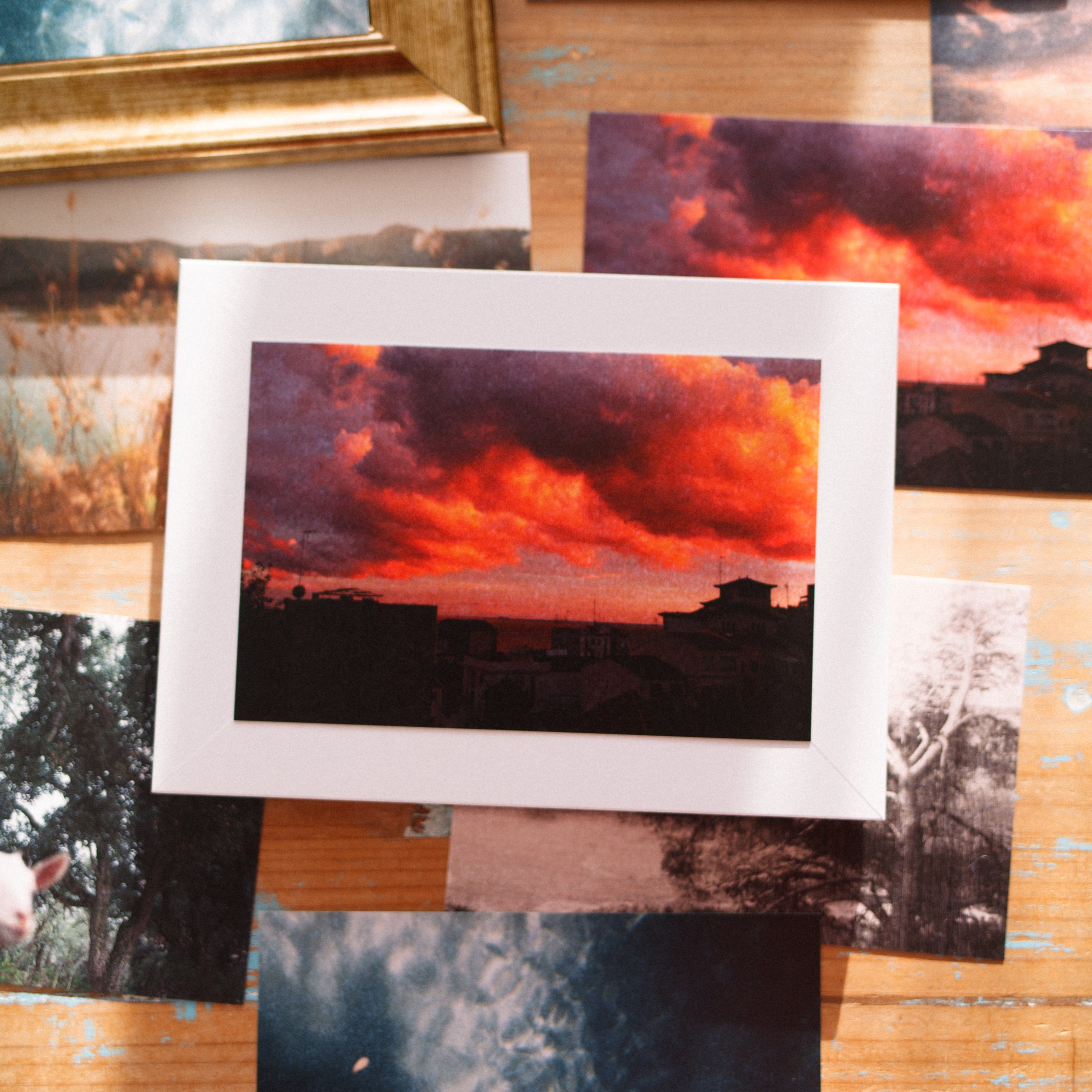 Photography Prints & Postcards by Marina Kálcheva — Limited Editions. Marina Kálcheva — Photographer, Videographer & Visual Artist in Barcelona