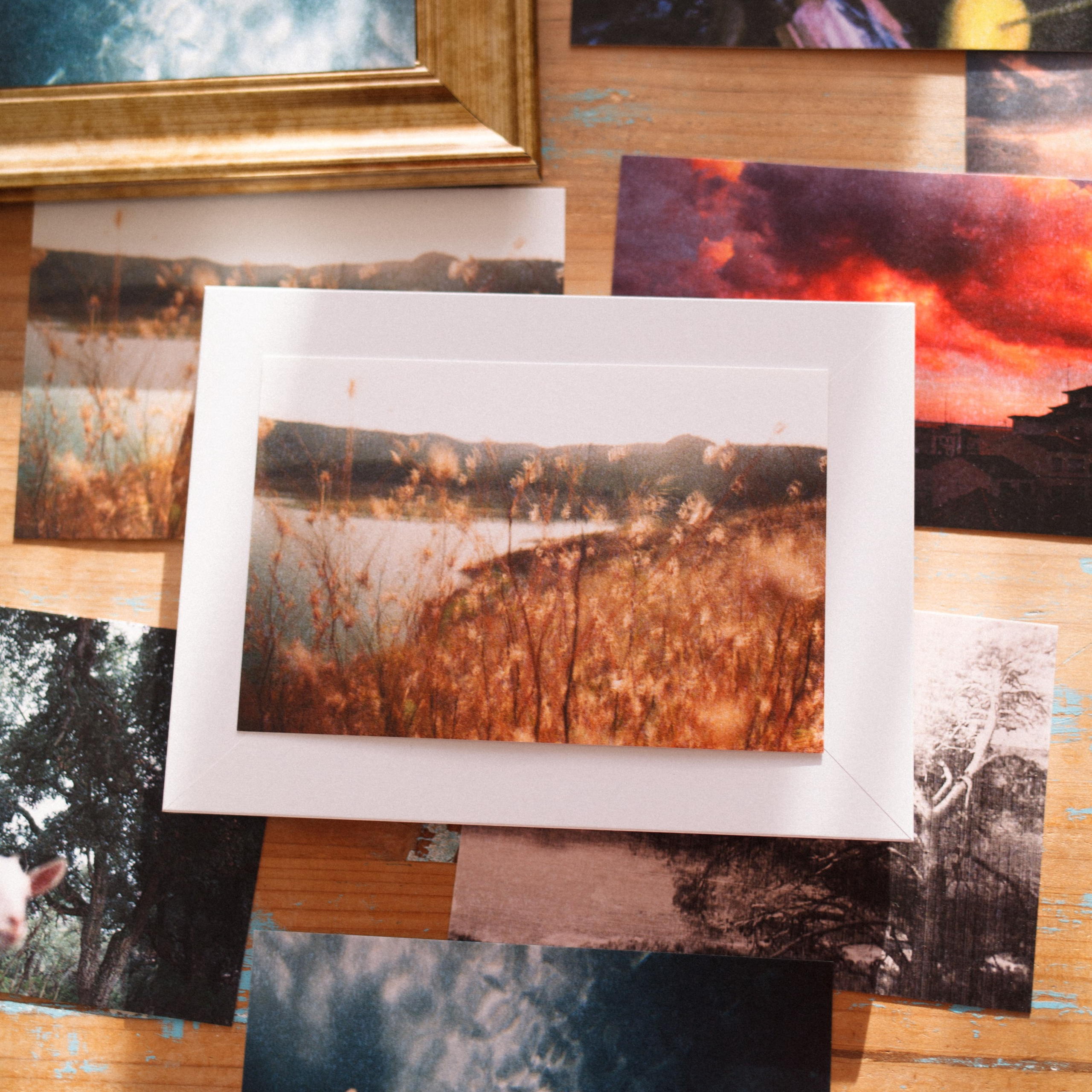 Photography Prints & Postcards by Marina Kálcheva — Limited Editions. Marina Kálcheva — Photographer, Videographer & Visual Artist in Barcelona