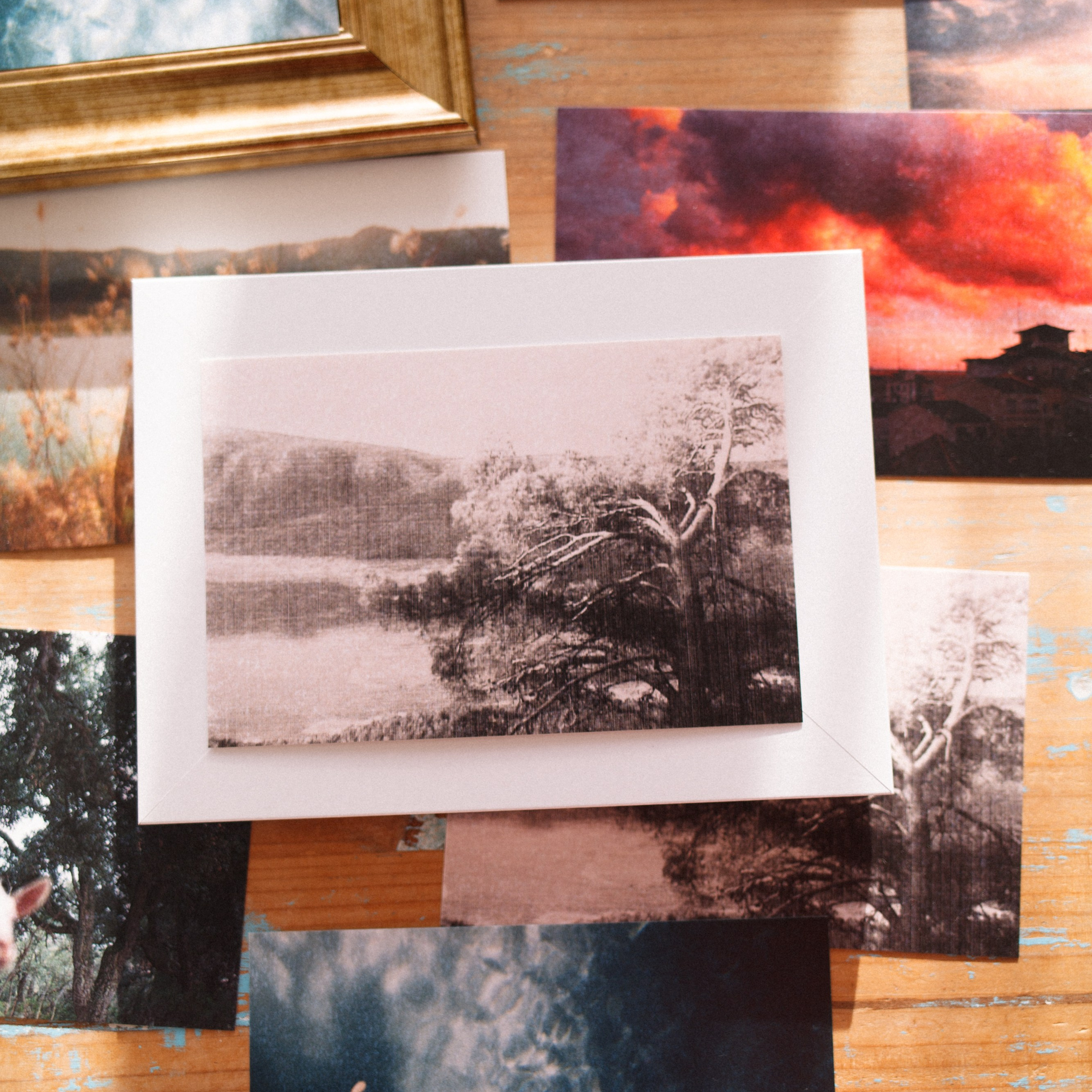 Photography Prints & Postcards by Marina Kálcheva — Limited Editions. Marina Kálcheva — Photographer, Videographer & Visual Artist in Barcelona