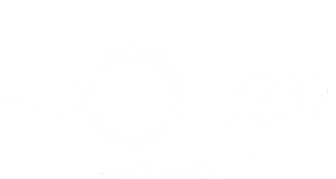 boleryfotografia.es