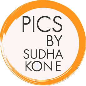 picbysudhakone.com