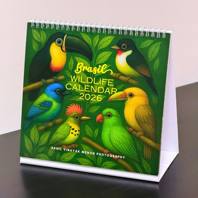 Store. Akhil Vinayak Menon Photography