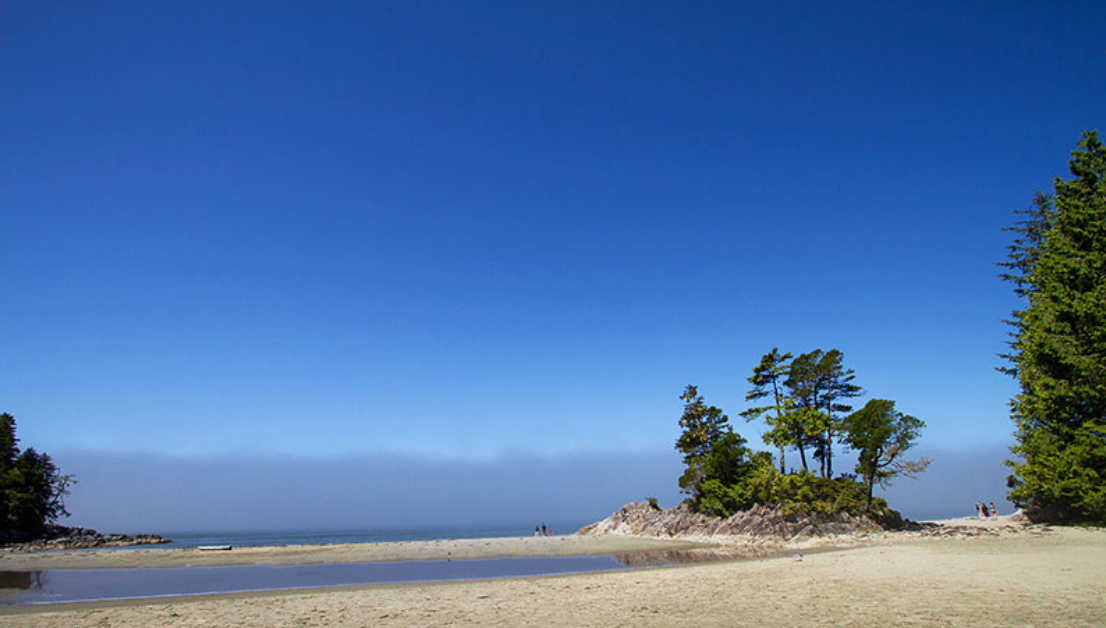 Best Wedding Photo Locations on Vancouver Island | Art Paradox Photography