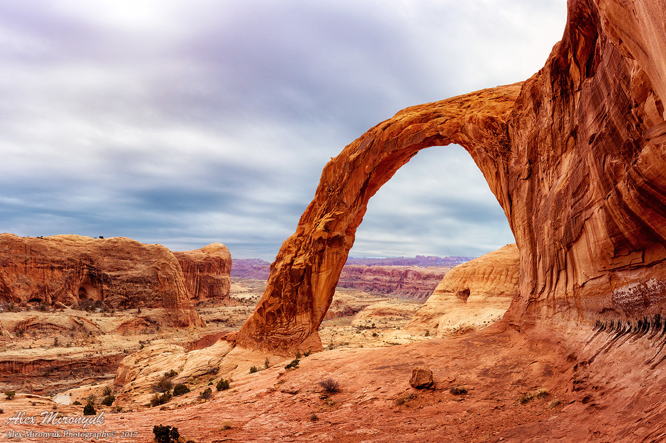 Список Оборудования. Alex Mironyuk Photography