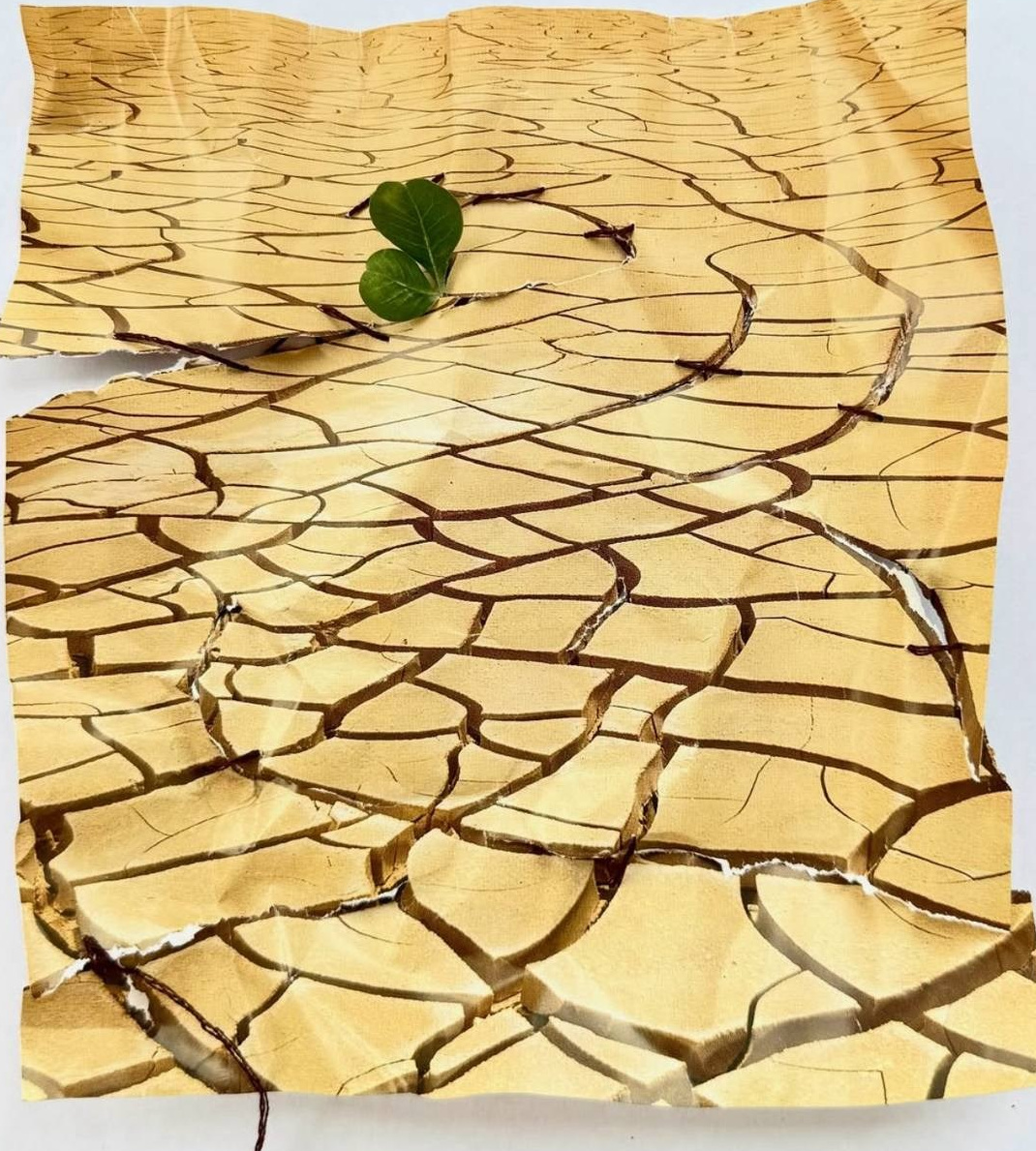 Collages. Natalia Naletova — artist and researcher working with textile, collage & memory