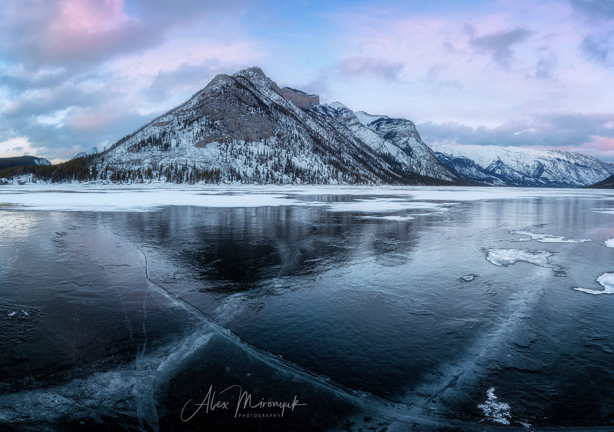 Canadian Winter Wonderland. Pet, Senior, Landscape, portrait studio, photographer in Miami and Sou