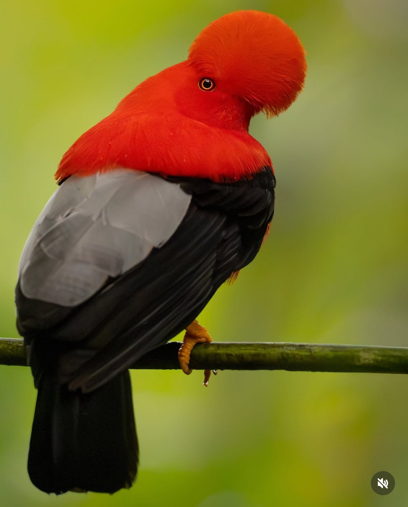 Trips. Akhil Vinayak Menon Photography