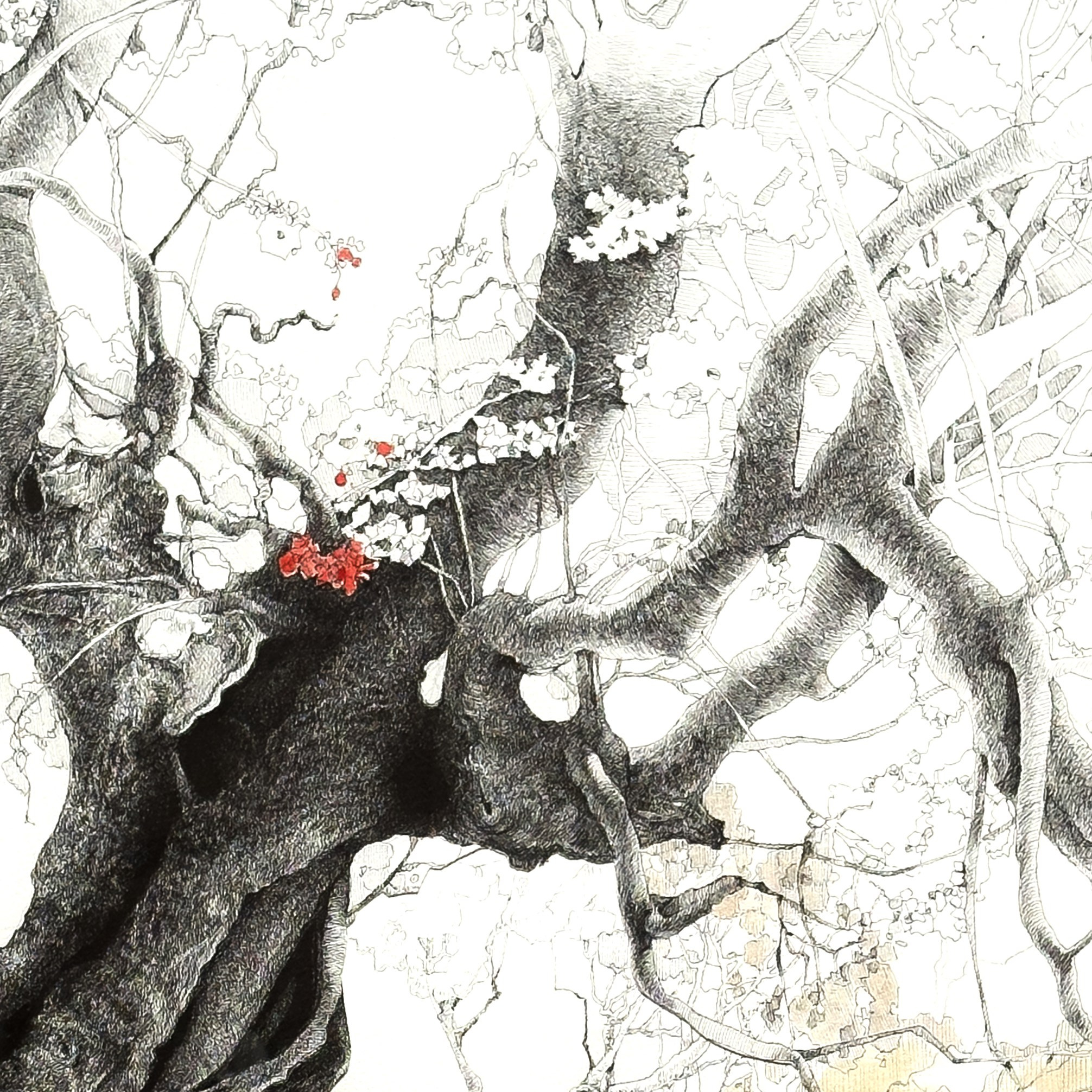 A collection of exquisite graphic drawings for sale, beautifully rendered in Chinese ink and pen on thick cotton watercolor paper. Each piece showcases detailed depictions of ancient trees, capturing their majestic and timeless beauty. Ideal for interior decoration, these artworks are perfect for adding a touch of elegance and serenity to any space.