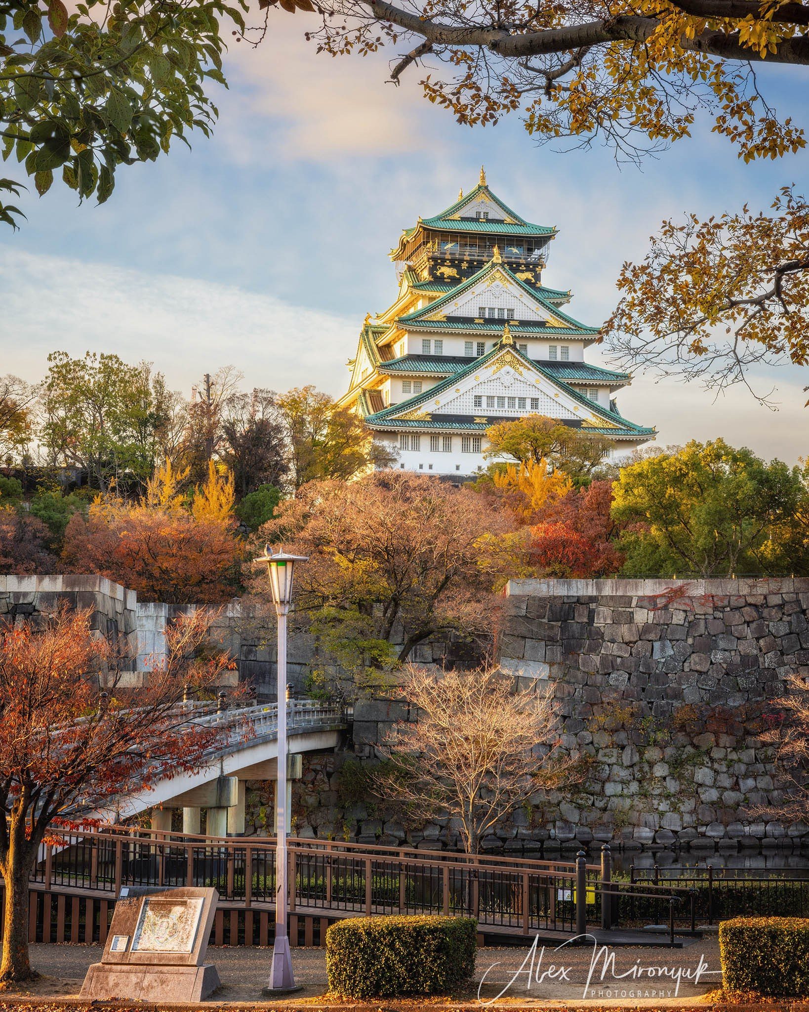 Autumn Colors of Japan. Pet, Senior, Landscape, portrait studio, photographer in Miami and Sou