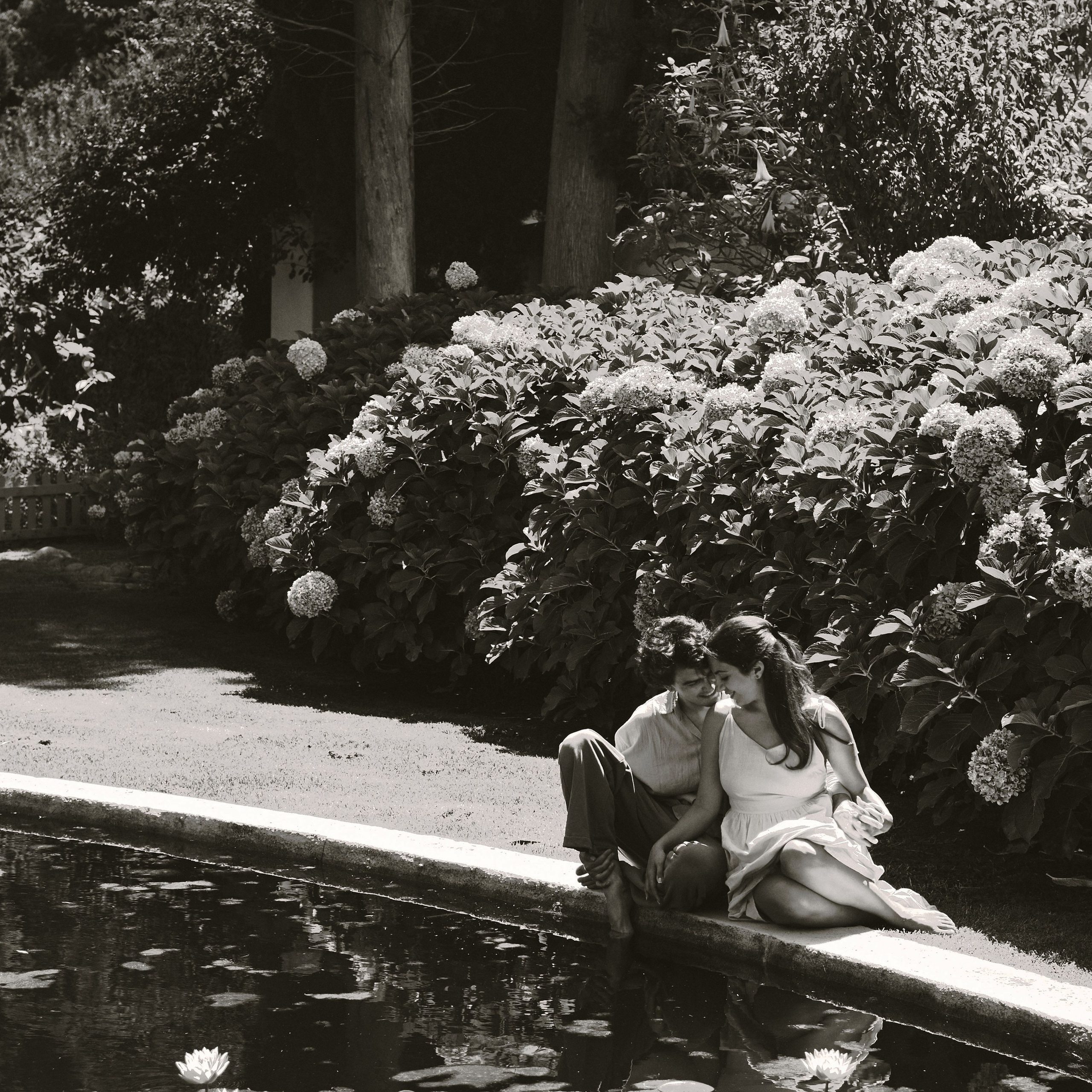 Photographer Cape Town | фотограф Кейптаун