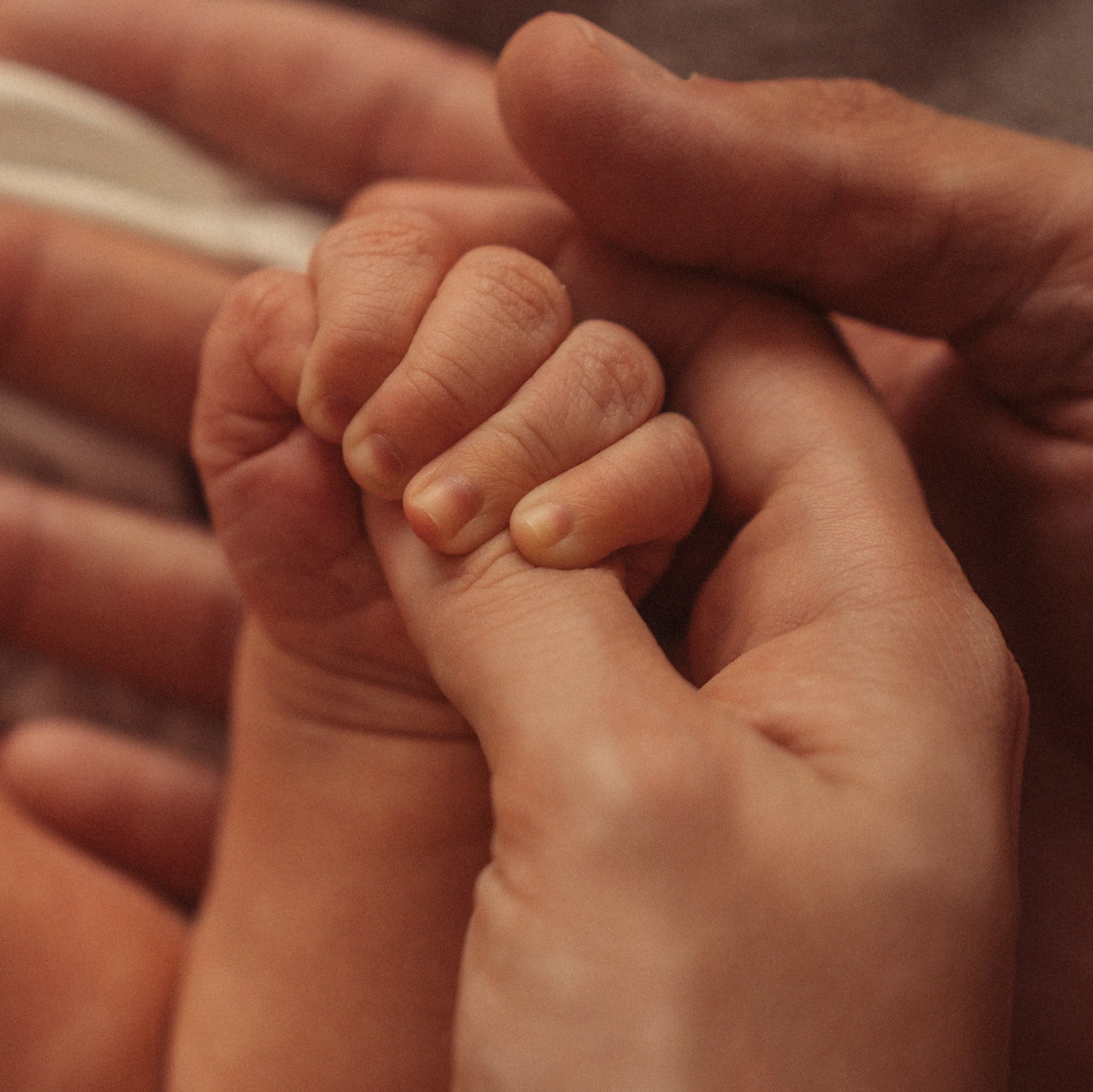 Dienstleistungen/Preise. Fotografin Iryna Meisinger