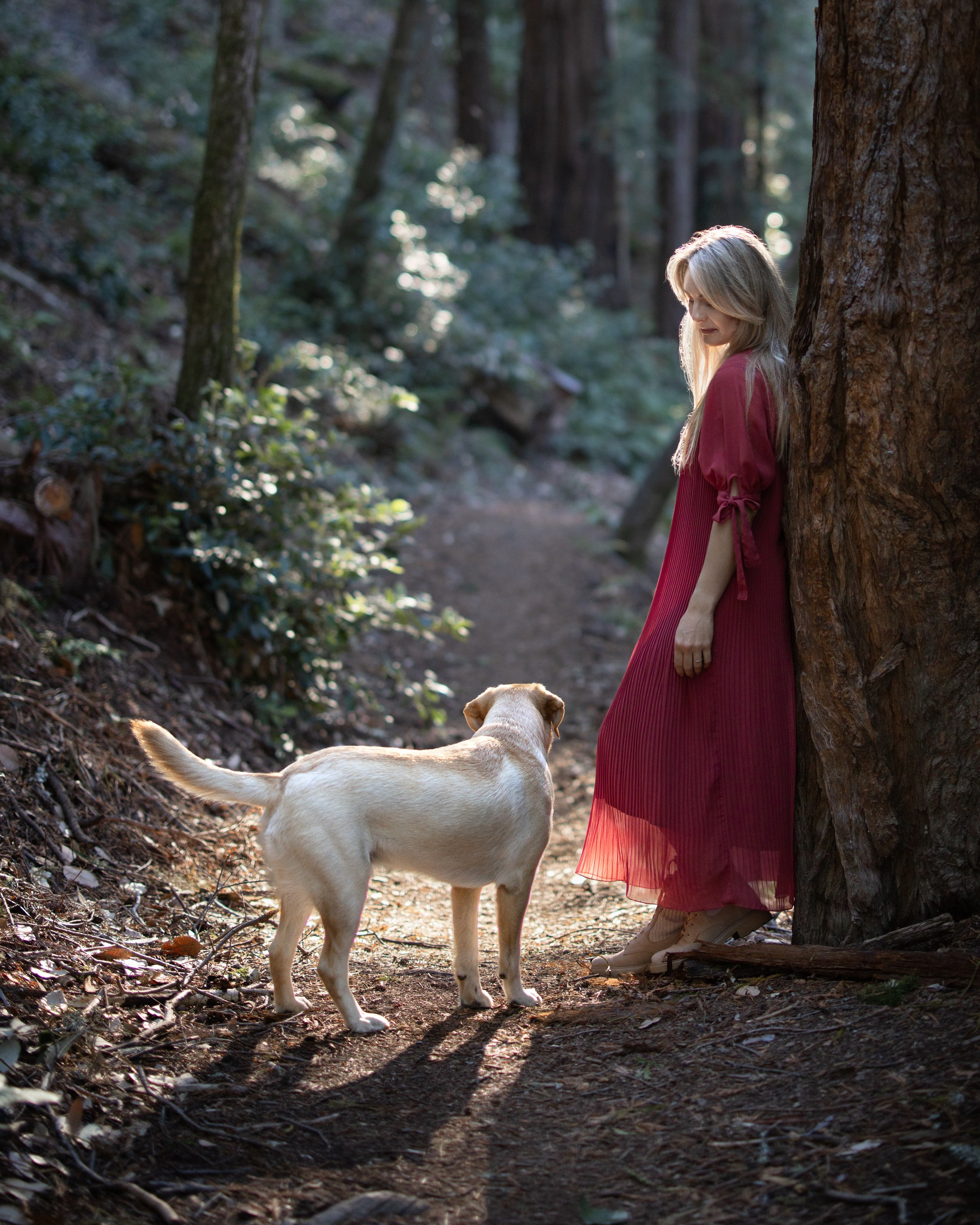 Pet photography. Levantera Photo San Francisco Bay Area Photographer Natalia