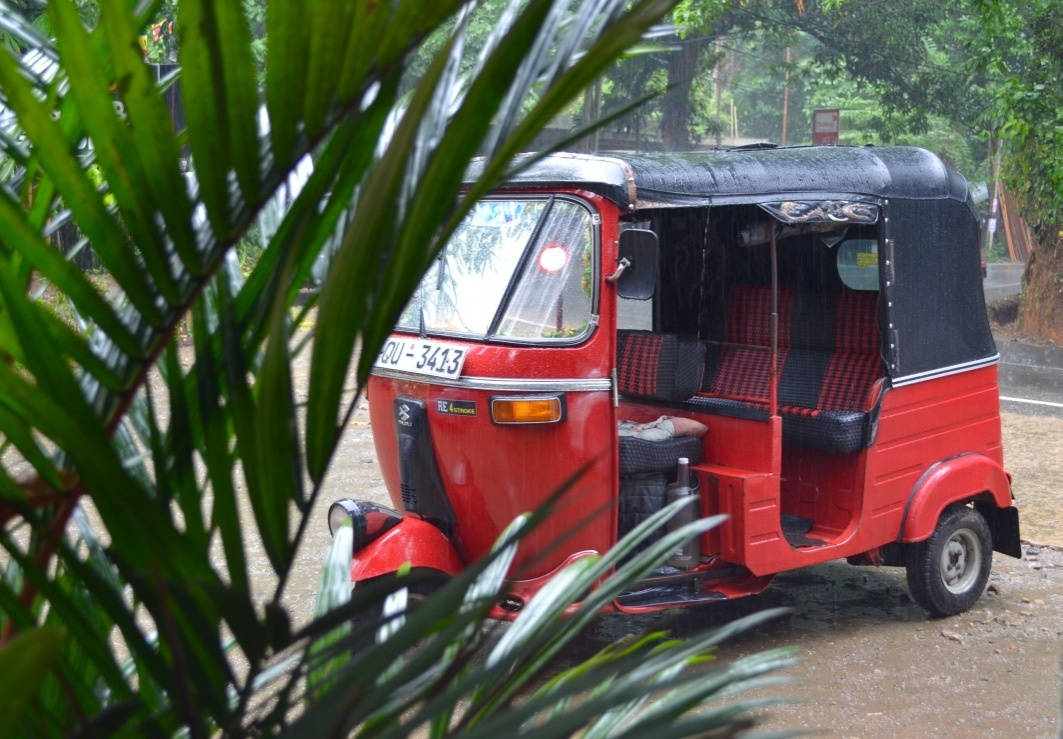 Шри-Ланка — Мальдивы. Mannequins, design, decoration, handmade, photographe…