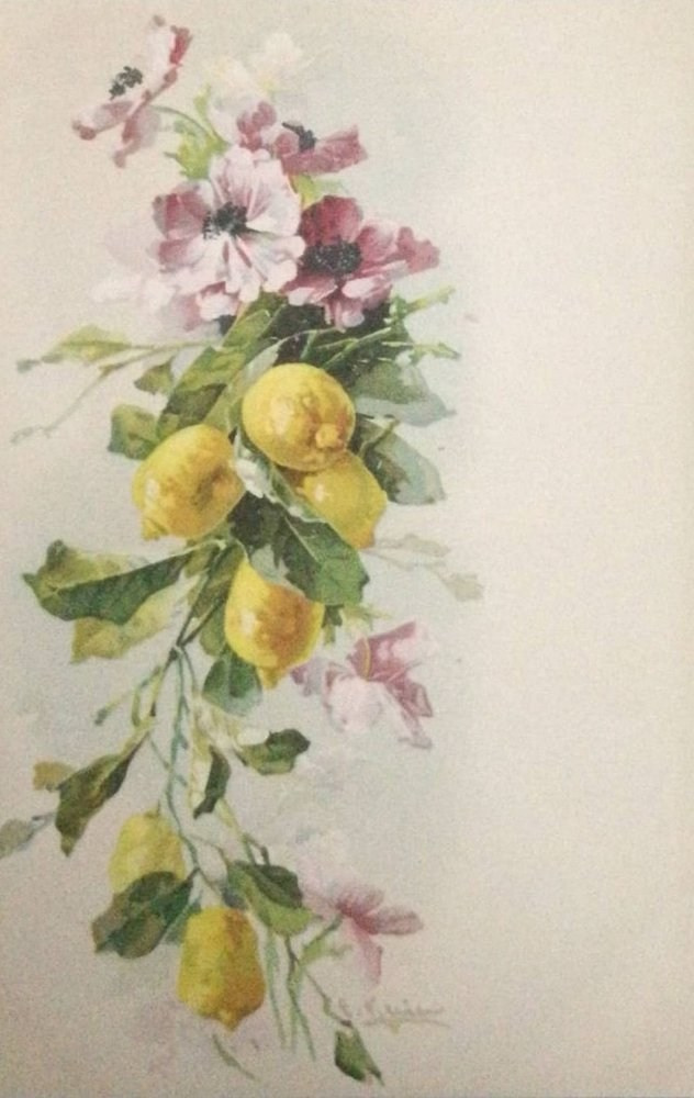 Vintage-Postkarten – Stillleben von Catharina Klein. Fotografin, Sammlerin von Vintage-Postkarten und Schöpferin von Geschichten an der Schnittstelle zwischen Vergangenheit und Persönlichem. Ir