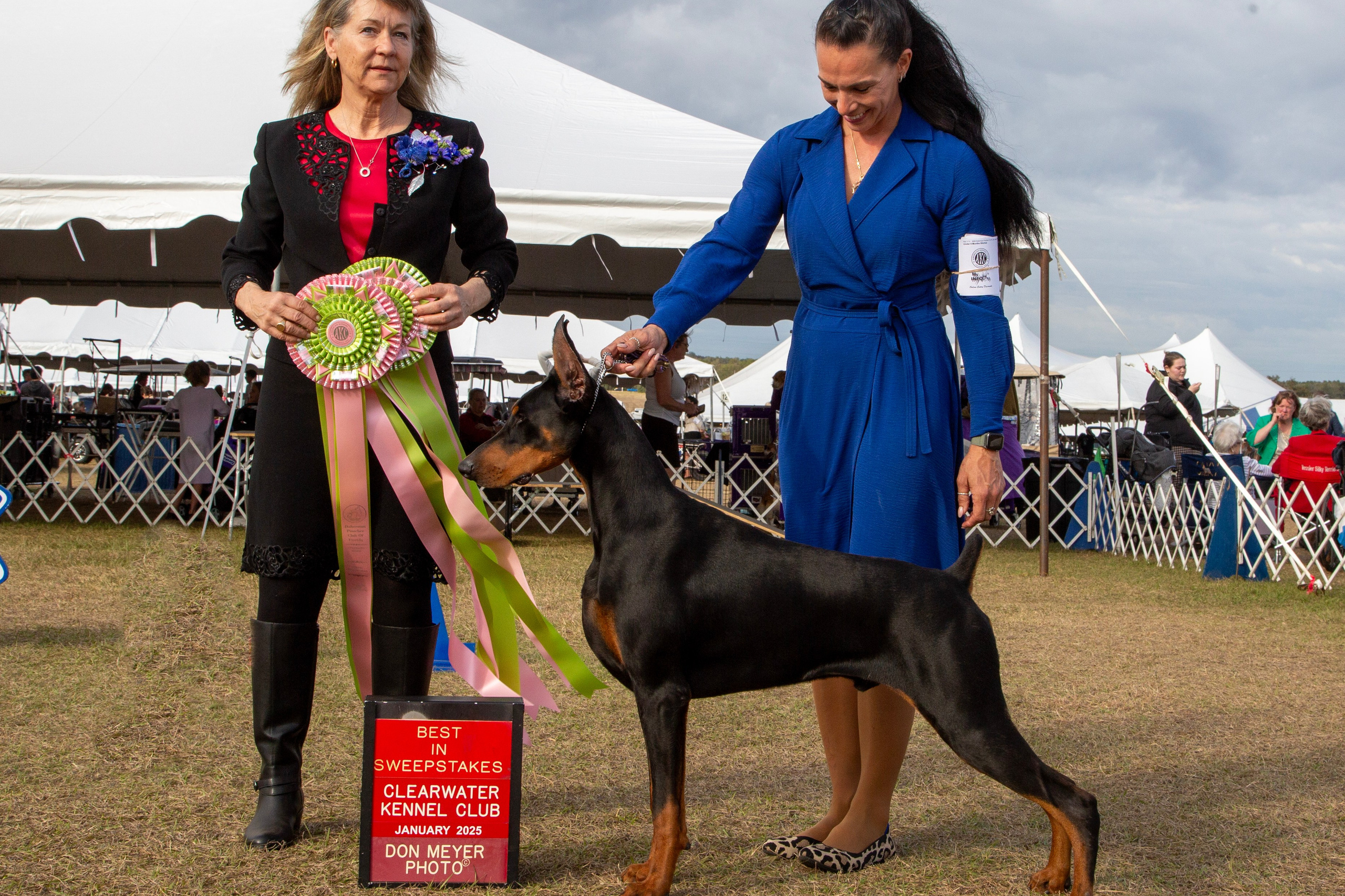 Kings & Queens. Spumanti Dobermans