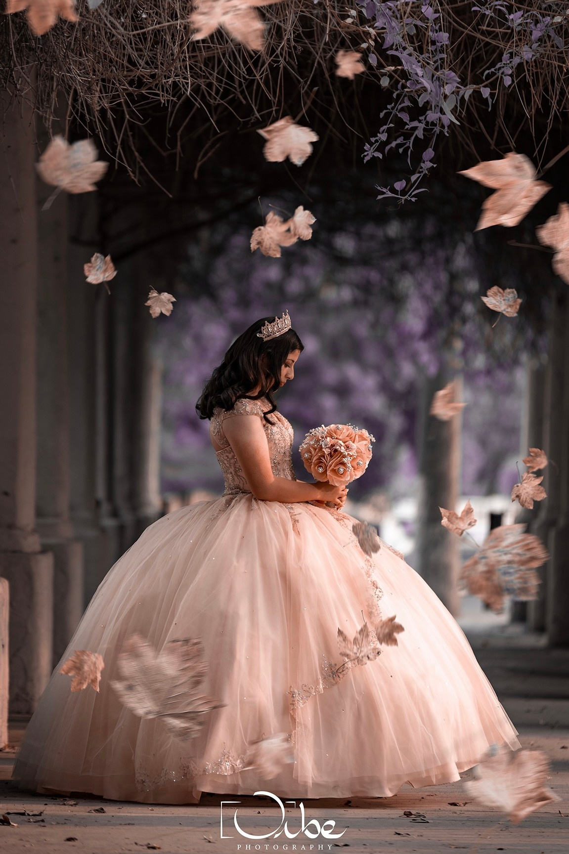 Services. Orbephotography.com