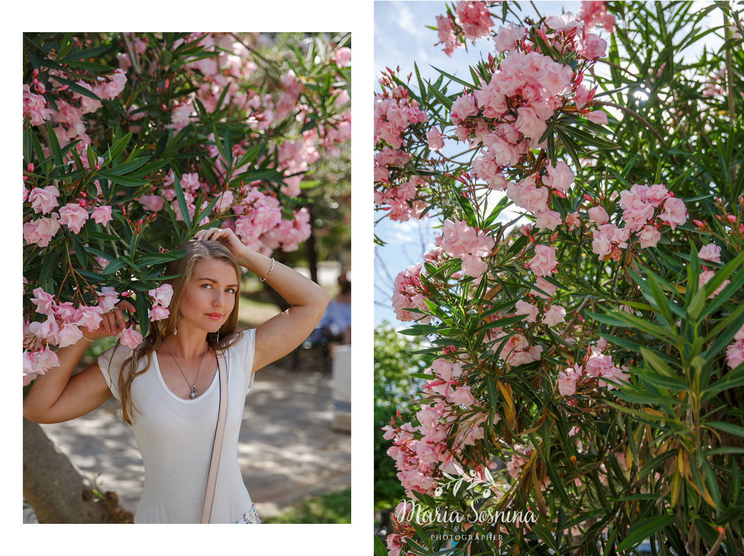 Budva Old town in Montenegro