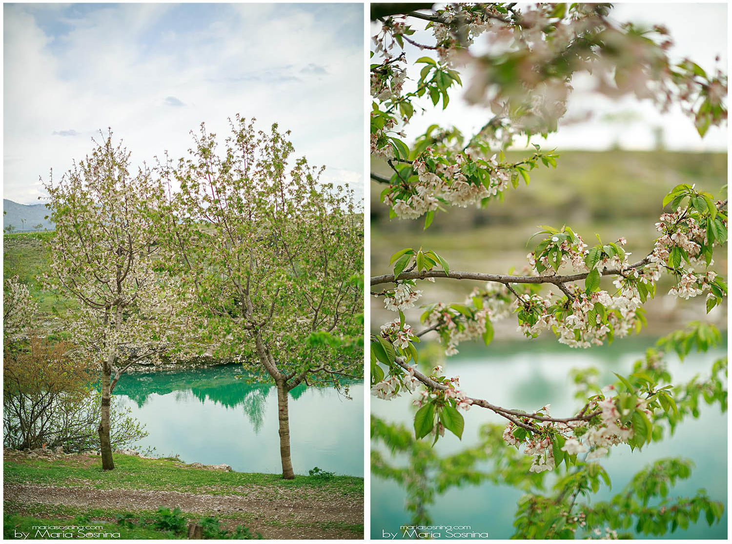 Podgorica’daki Niagara Şelalesi: Unutulmaz bir yemek deneyimi
