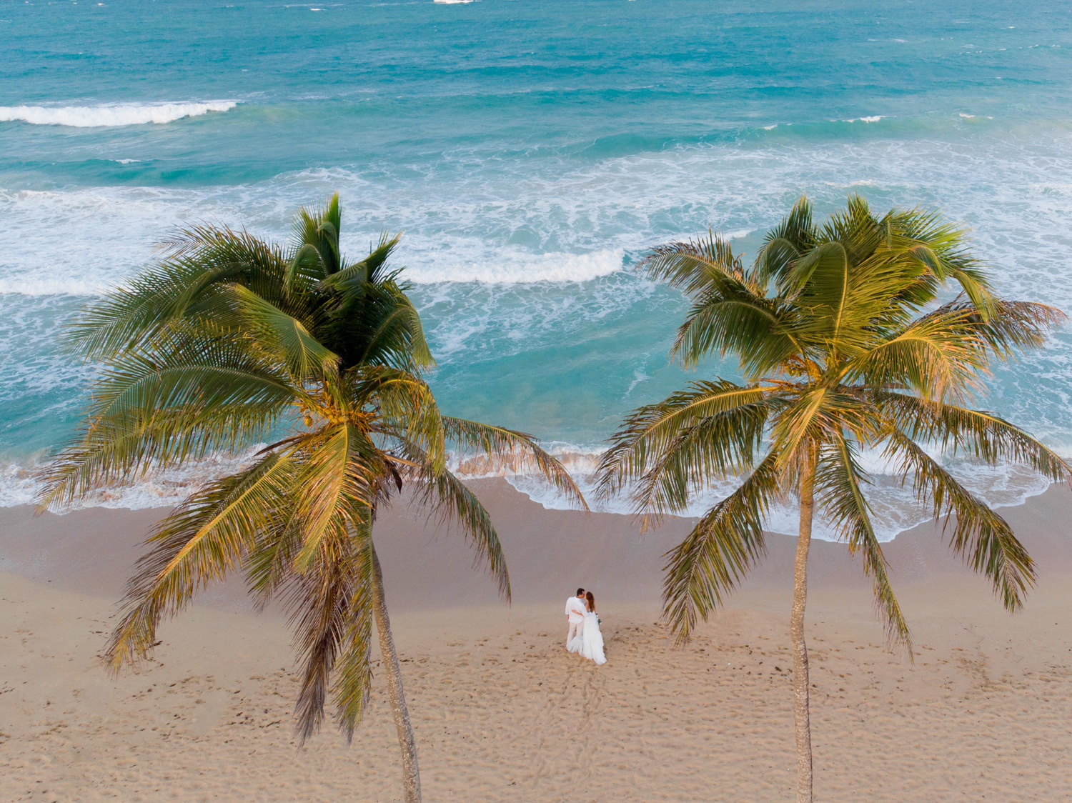 The bride and groom are standing between palm trees, an aerial photo taken from a quadcopter.