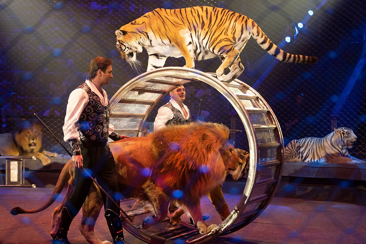 Россия. Туристическая компания в Москве и Баку