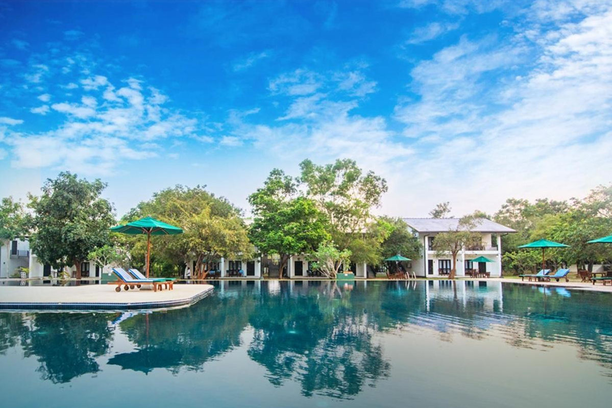 Oak Ray Elephant Lake